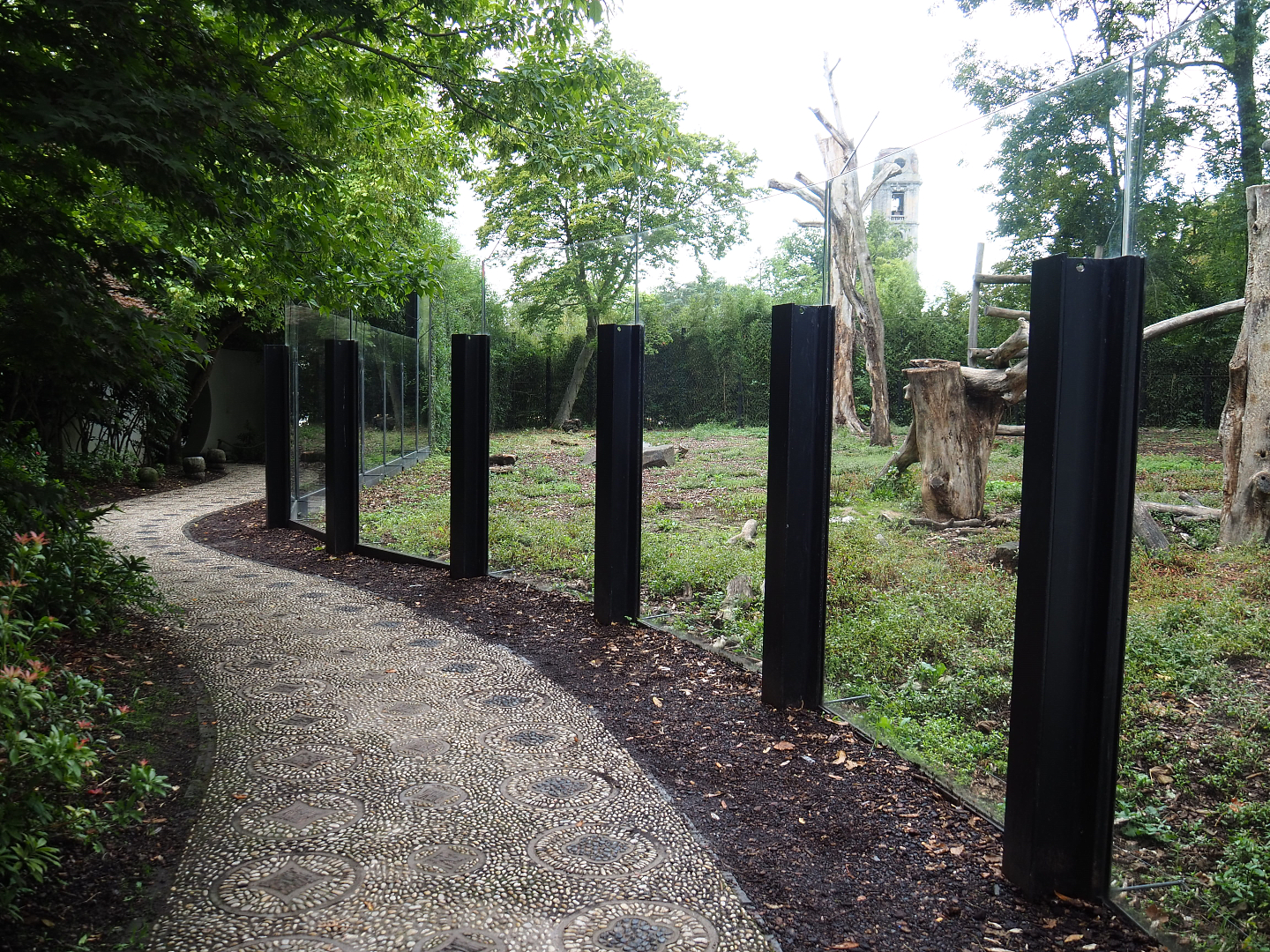 Walkway with Asiatic black bear viewing windows, 2022-09-15