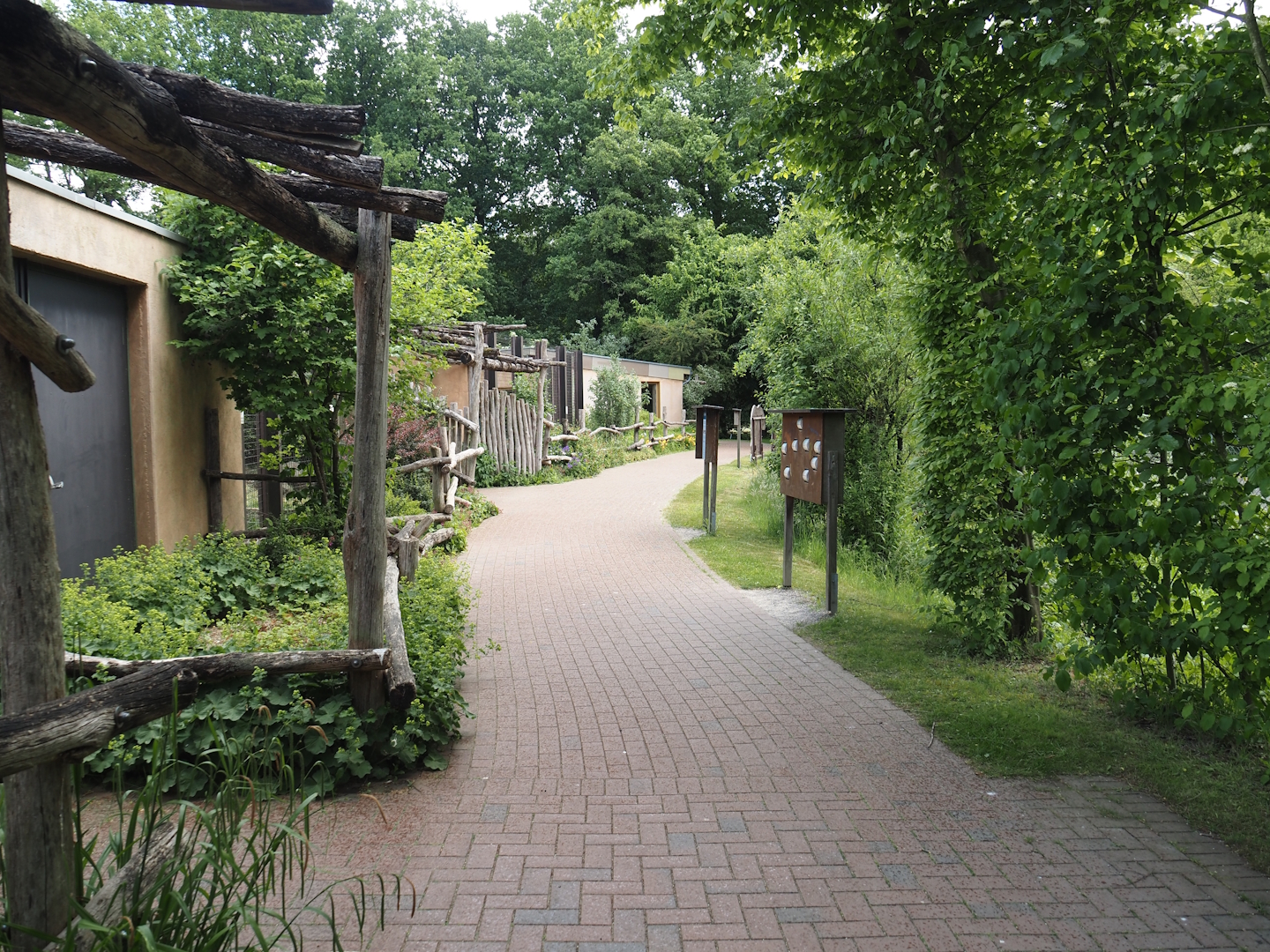 Walkway with bear education next to the Indian sloth bear and European golden jackal exhibit, 2025-05-22