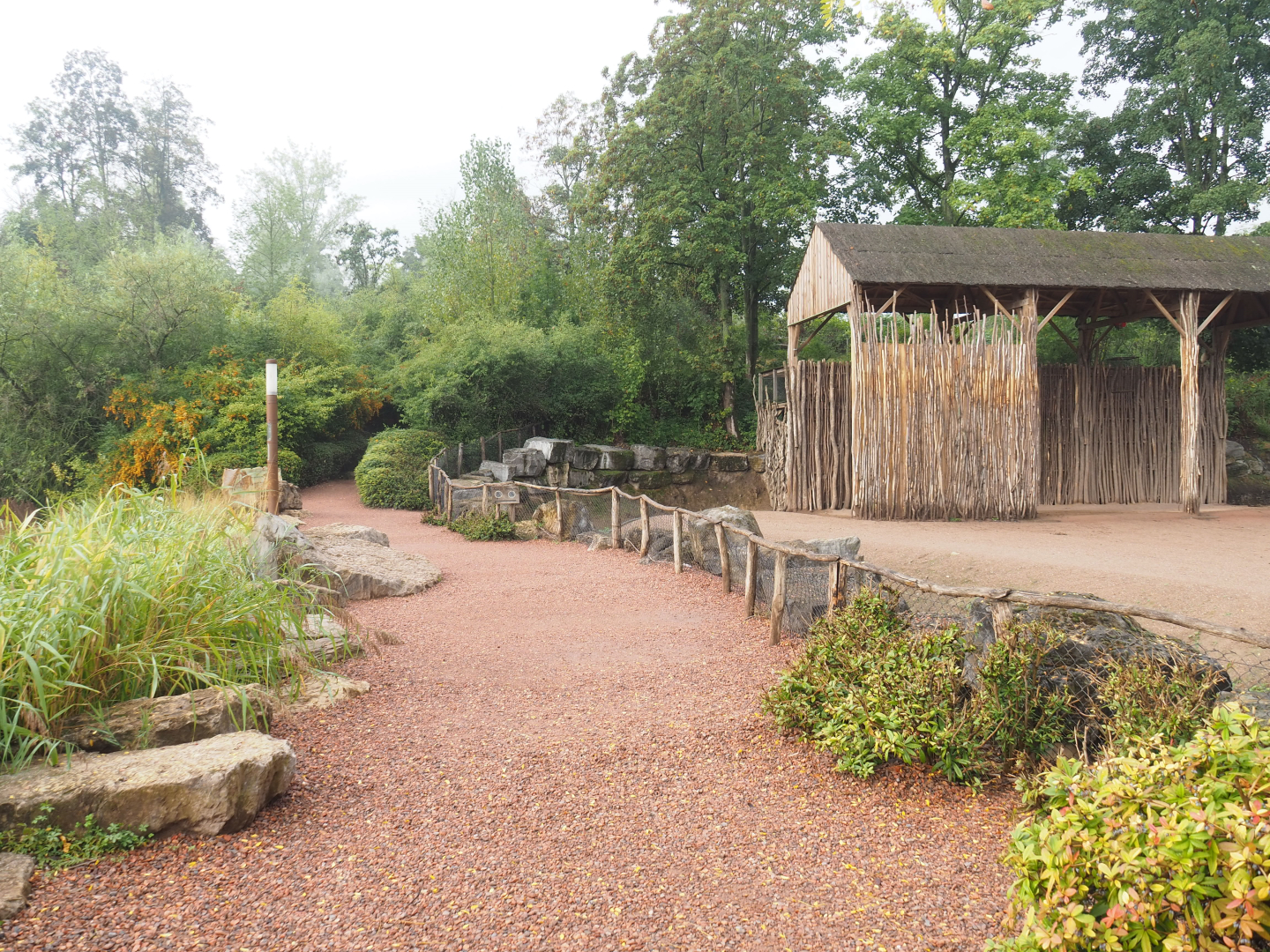 Walkway with giraffe paddock and spotted hyena viewing, 2022-09-15