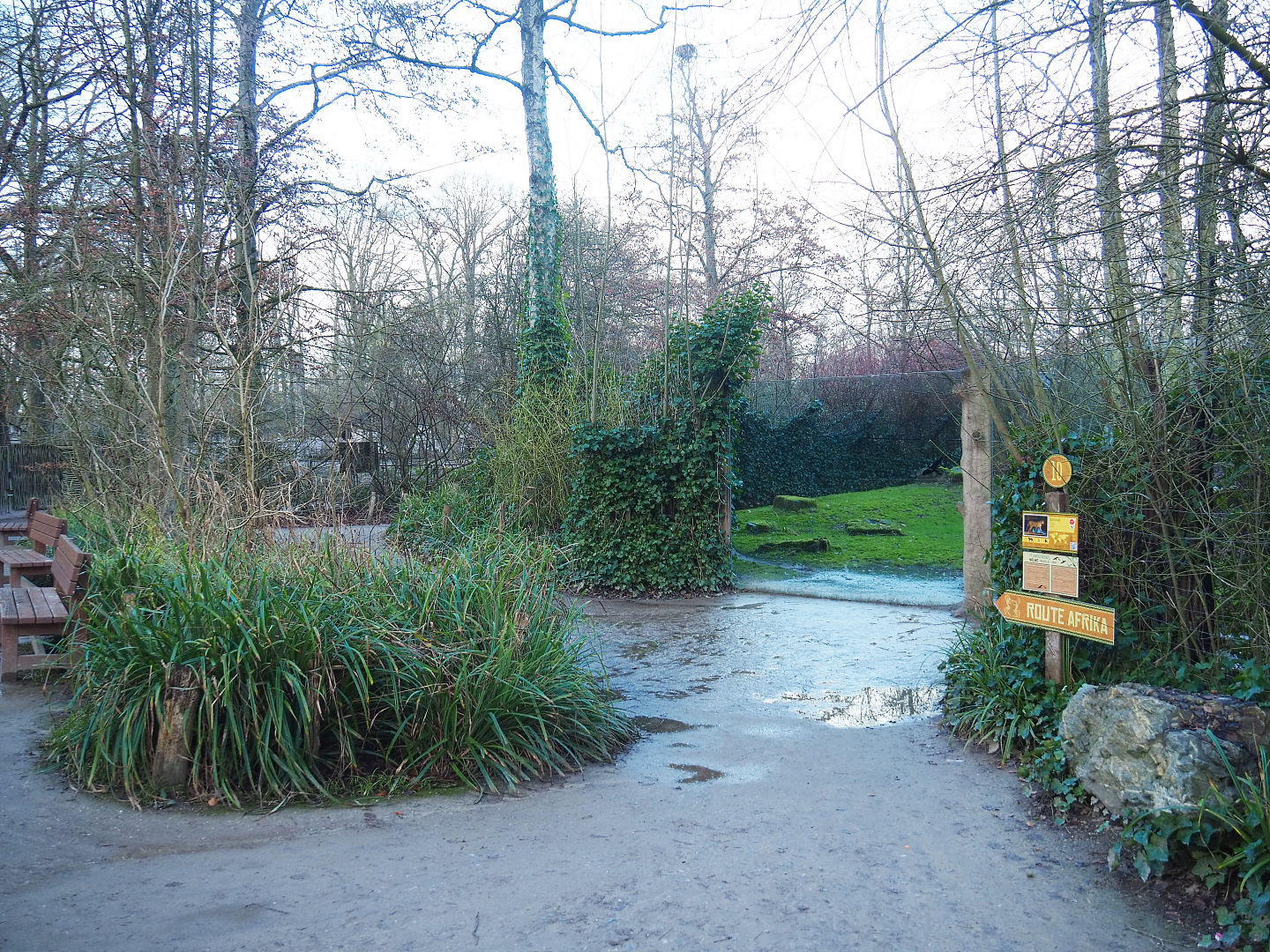 Walkway with Sudan cheetah viewing areas, 2022-01-02