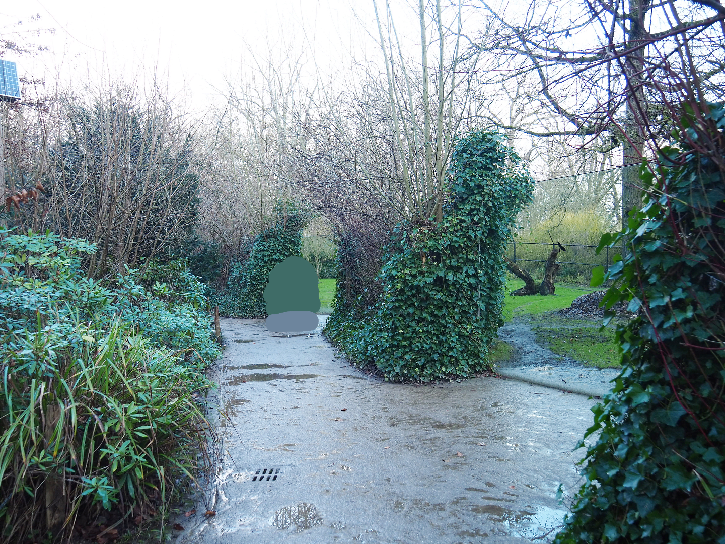 Walkway with Sudan cheetah viewing areas, 2022-01-02