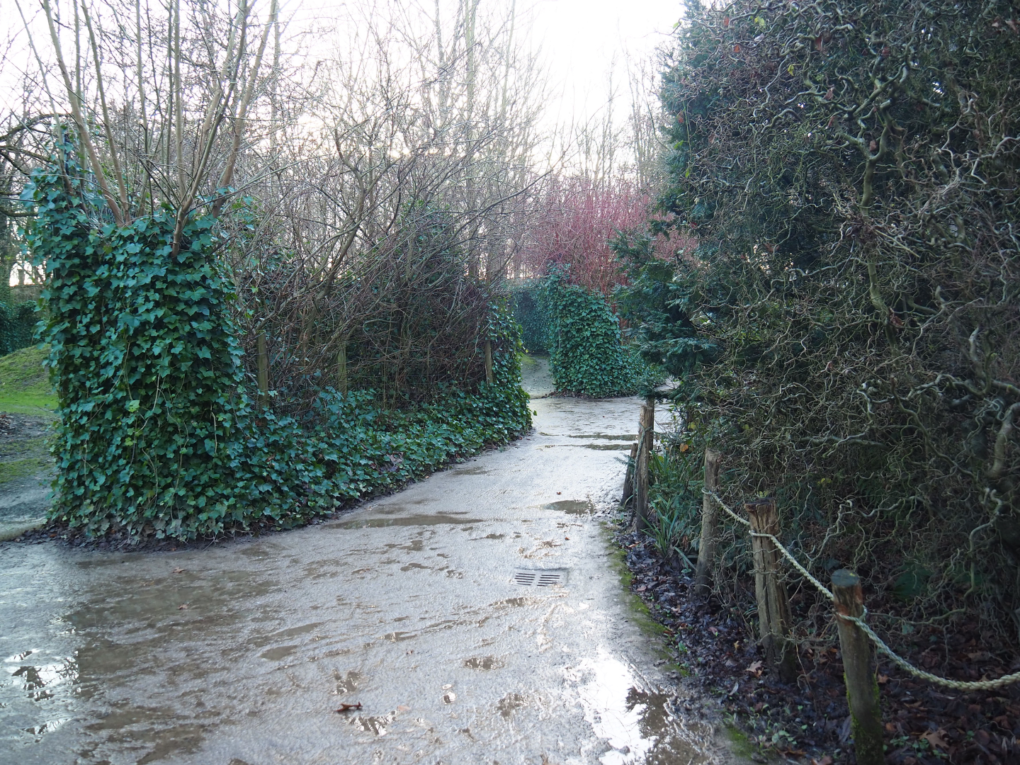 Walkway with Sudan cheetah viewing areas, 2022-01-02