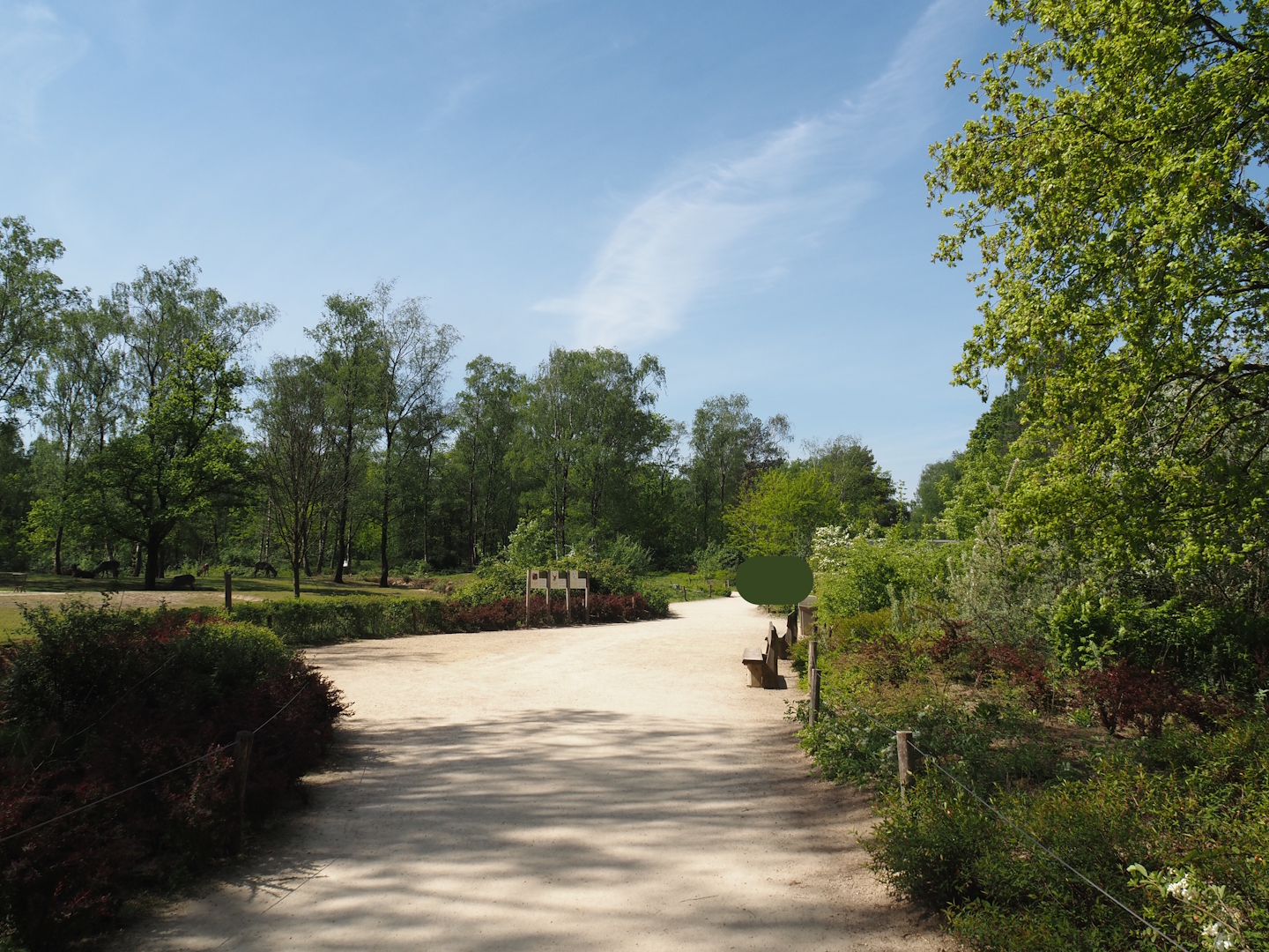 Walkway with viewing area for mixed savanna exhibit, 2025-04-30