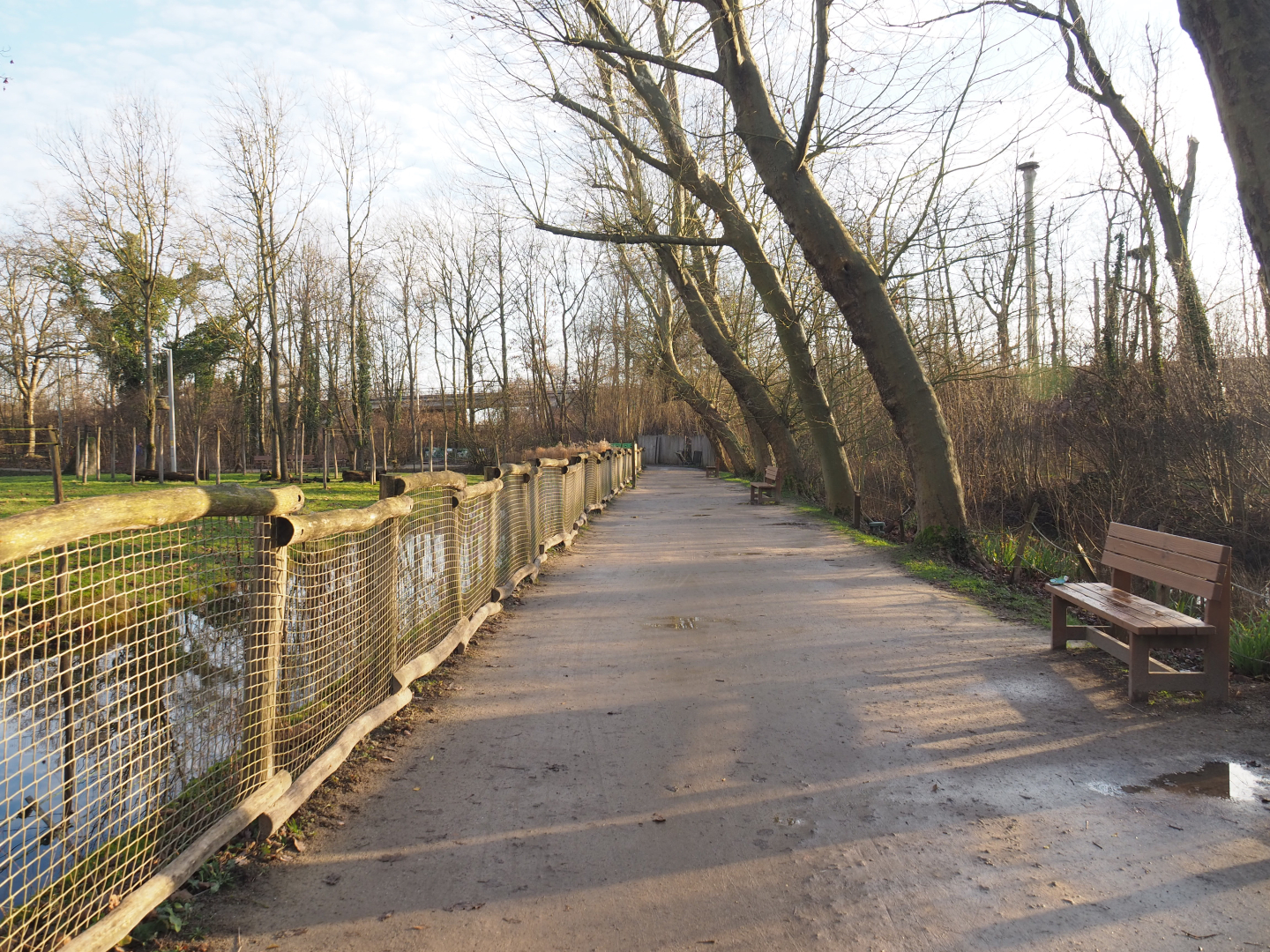 Walkway with viewing of giraffe savanna paddock, 2022-01-02
