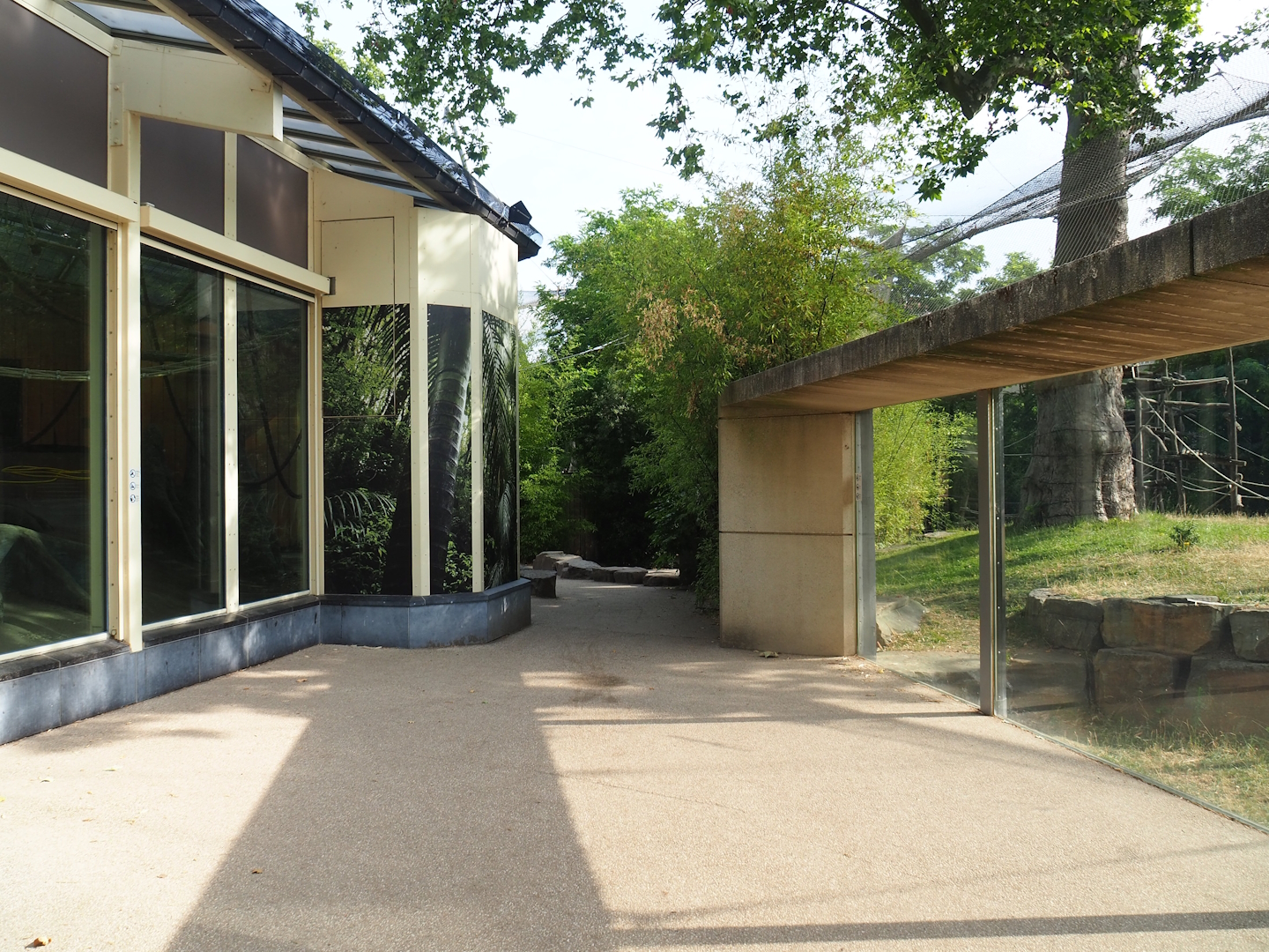 Walkway with viewing windows into gorilla indoor 'sunroom' exhibit and gorilla outdoor exhibit, 2023-07-22