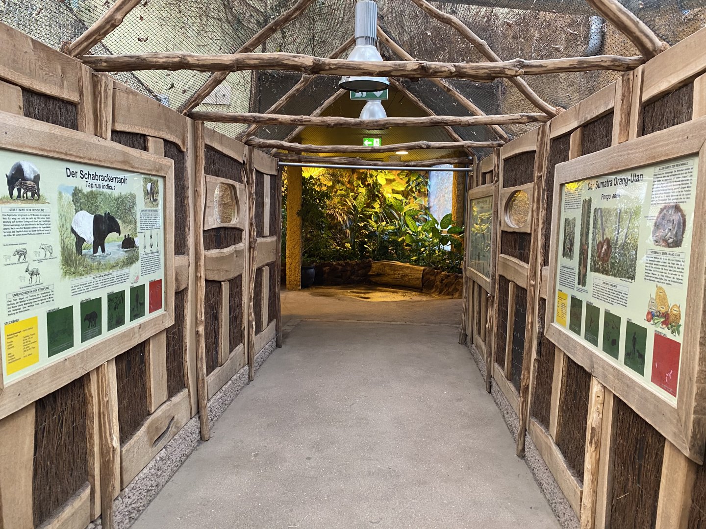 Walkway within Orangutan House 021219