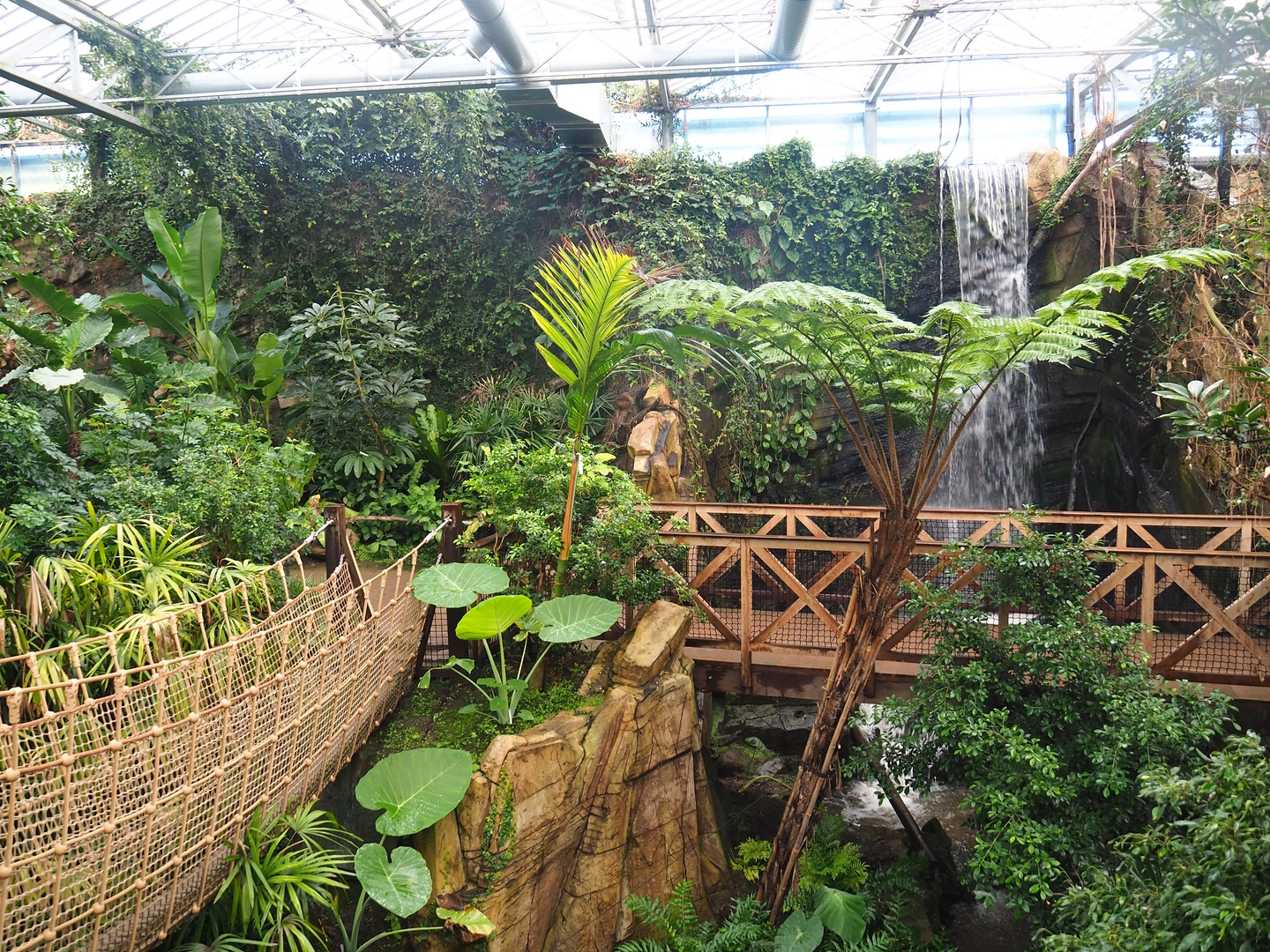 Walkways and waterfall in the orangutan greenhouse, 2022-09-12