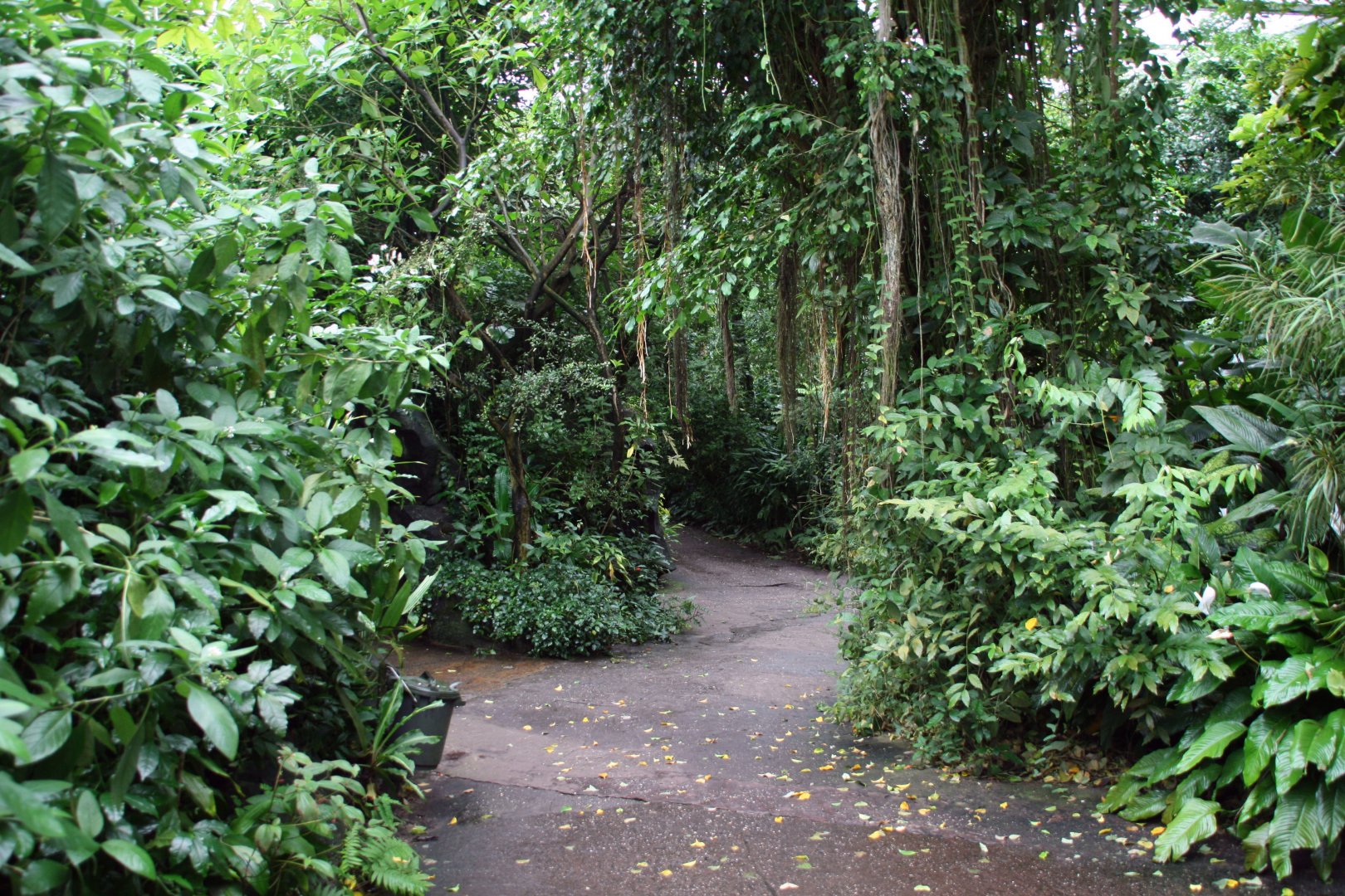 walkways Burgers Bush