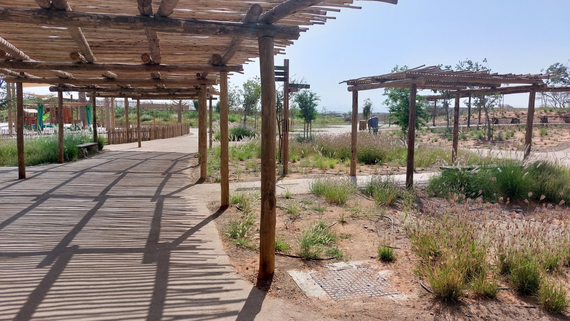 Walkways in Safari camp