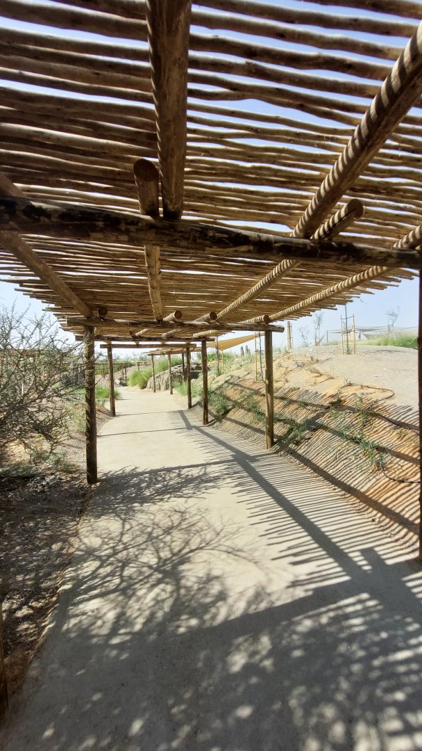 Walkways in Safari camp