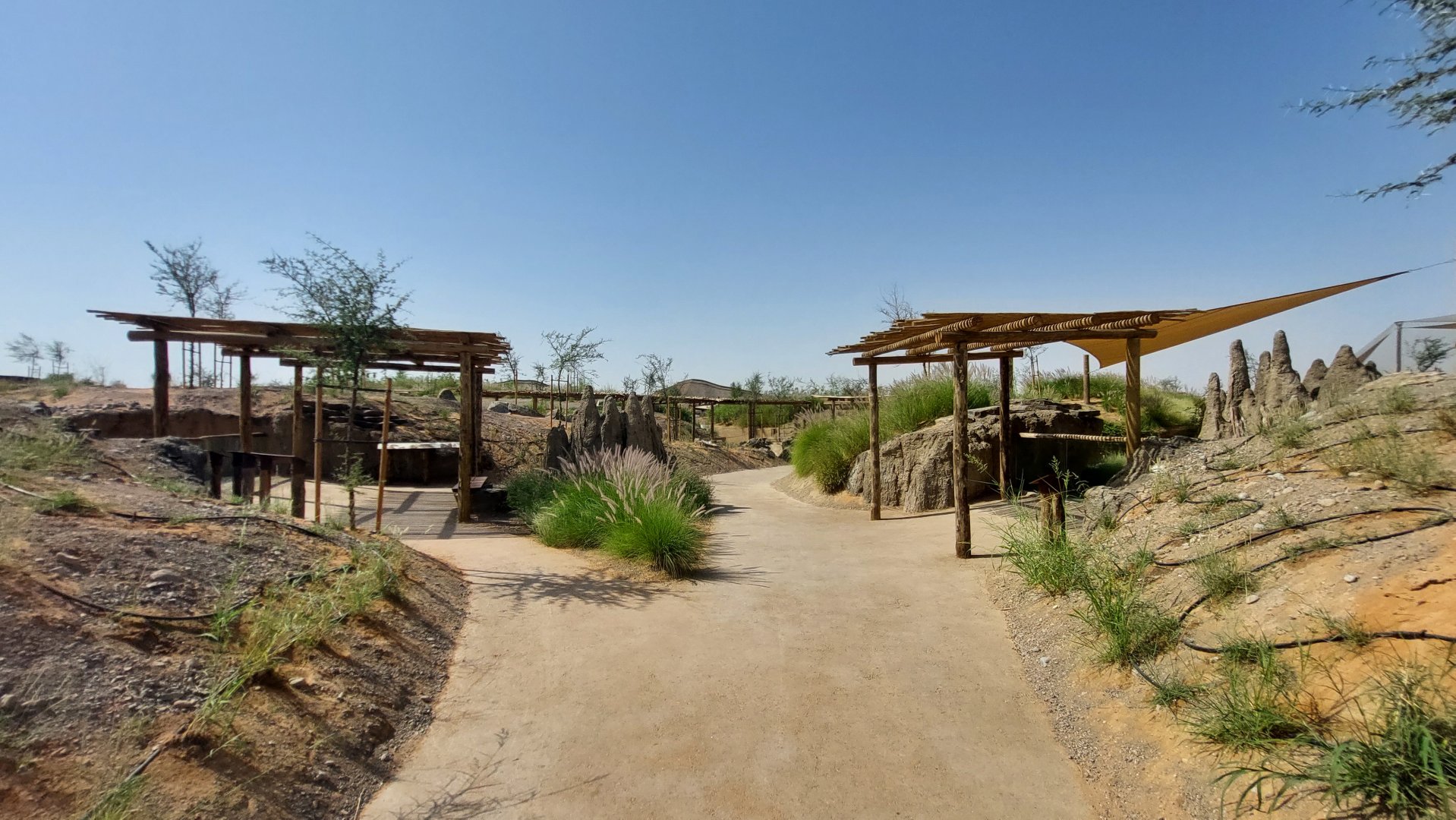 Walkways in Safari camp