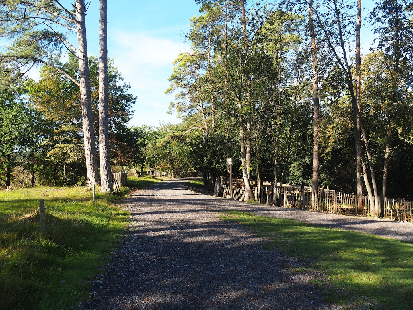Walkways near the wild boar paddock, 2023-09-26