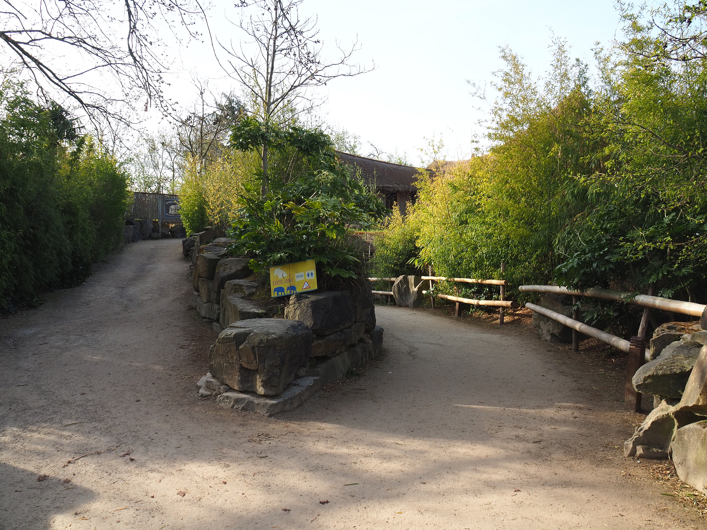 Walkways to Asian elephant viewing areas, 2022-04-12