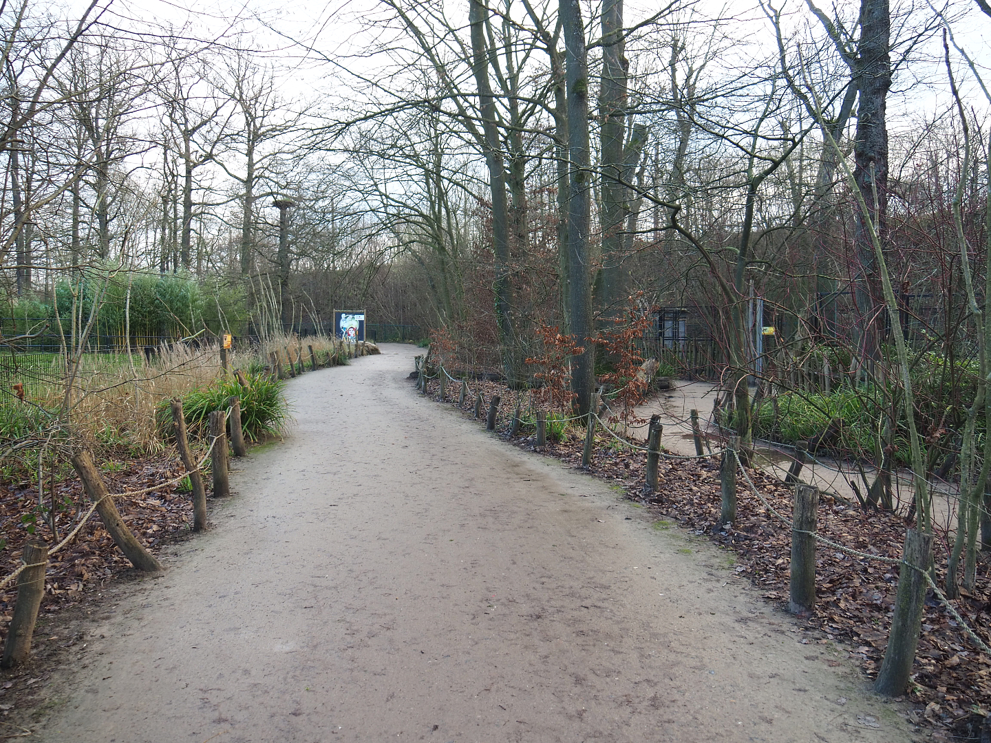 Walkways with antelope and spotted hyena viewing areas, 2022-01-02