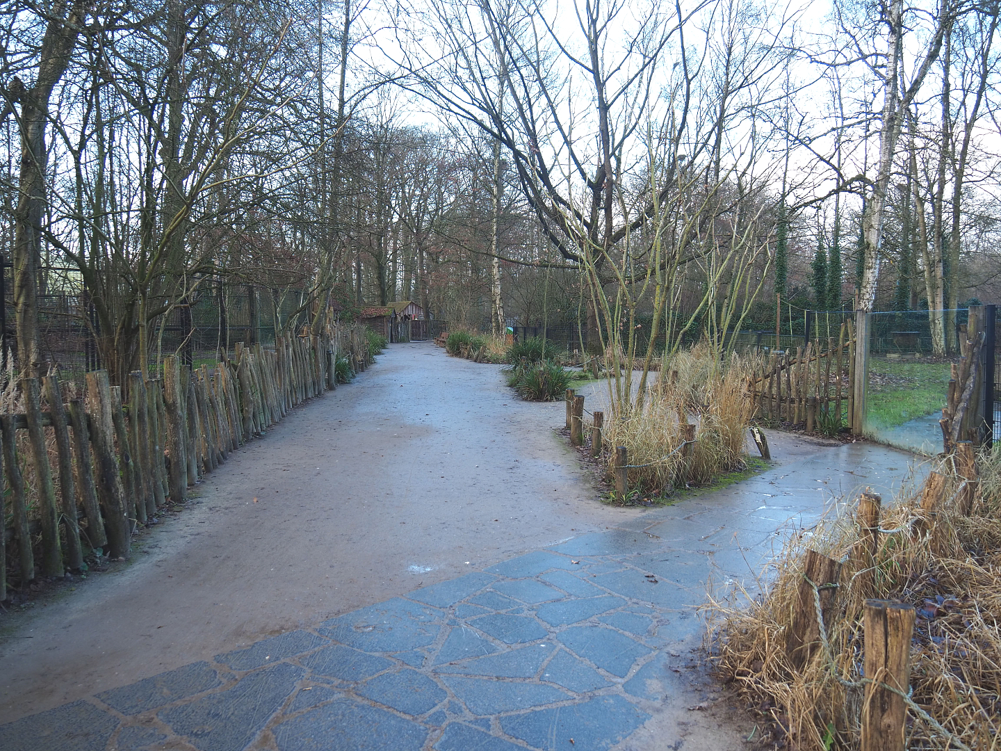 Walkways with antelope and spotted hyena viewing areas, 2022-01-02