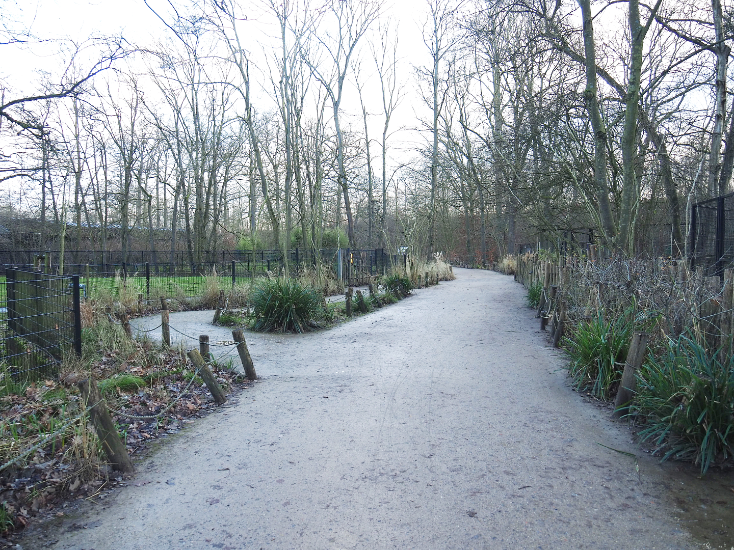 Walkways with antelope and spotted hyena viewing areas, 2022-01-02