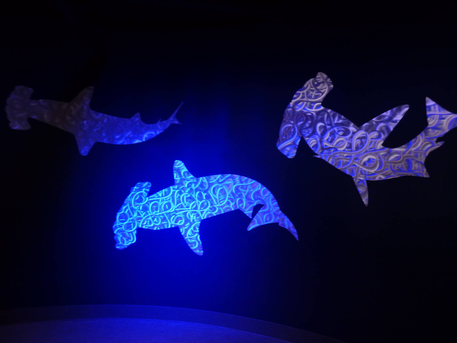 Wall Art in Aquarium