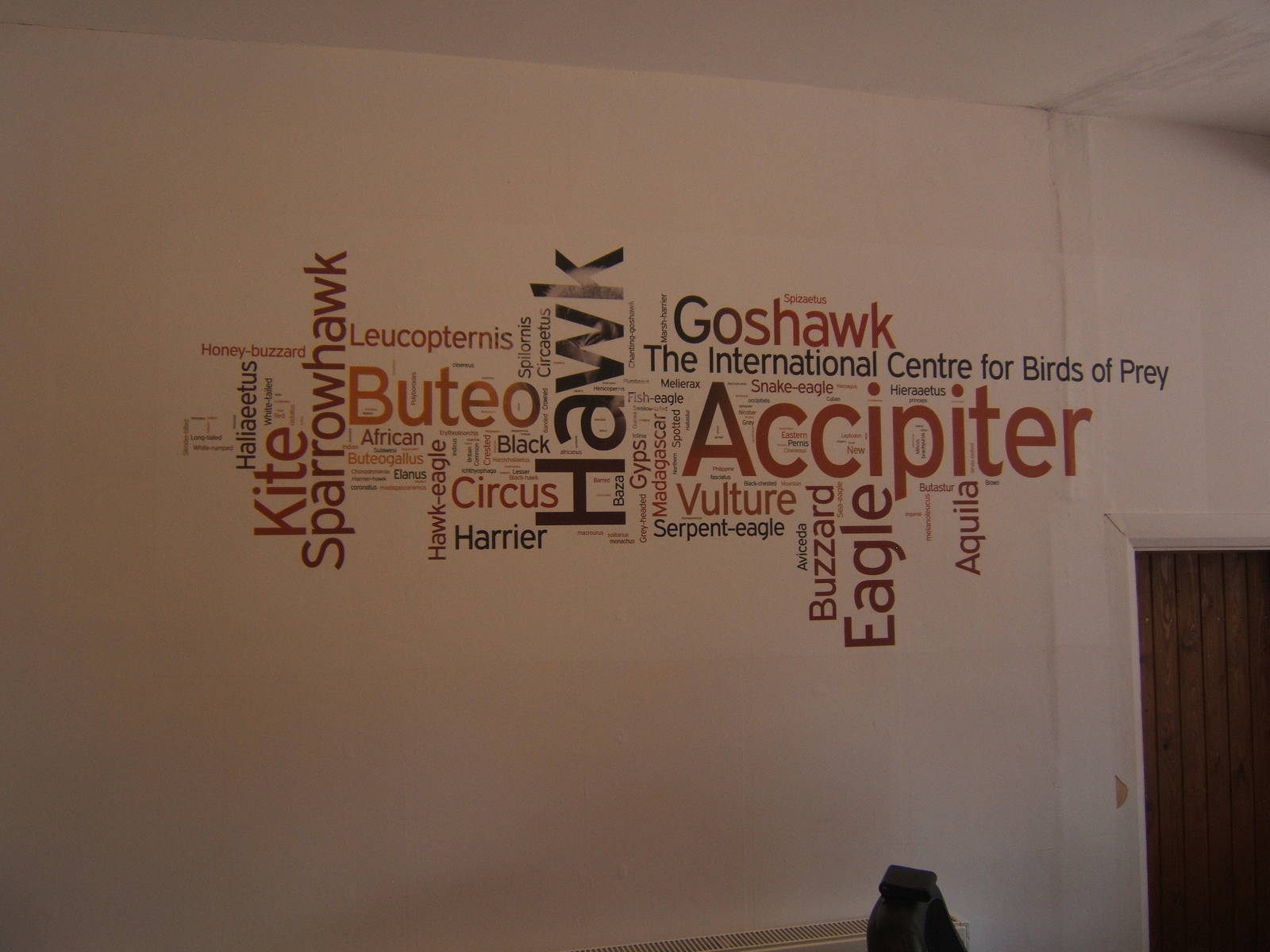 Wall at the back of the shop