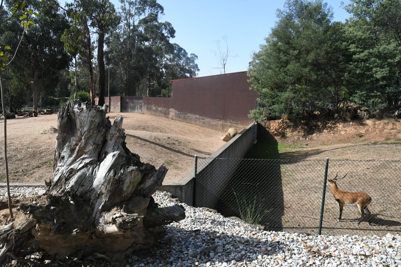 Wall between two African Savanna exhibits
