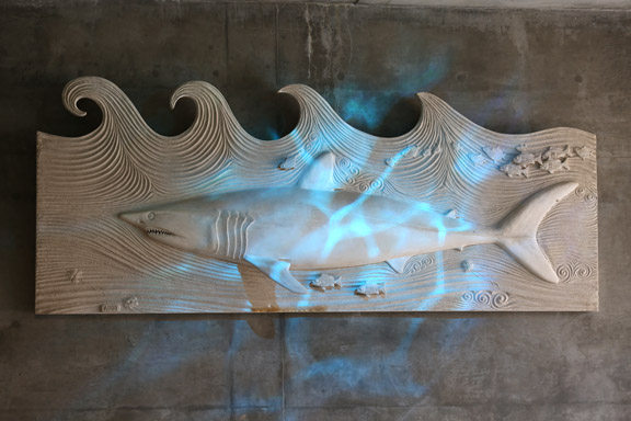 Wall decor in Africa Rocks penguin exhibit