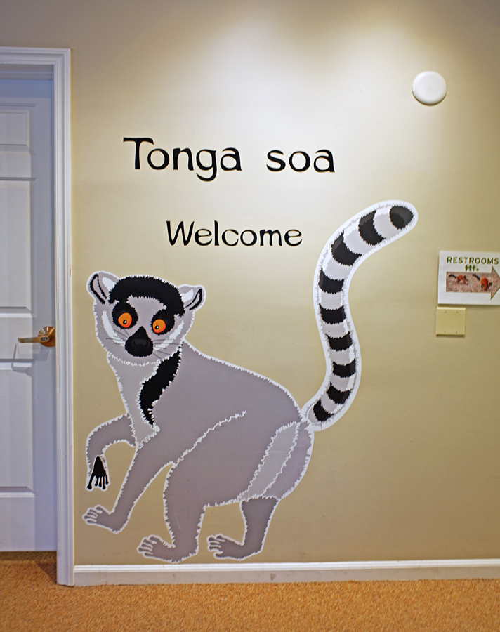 wall inside gift shop