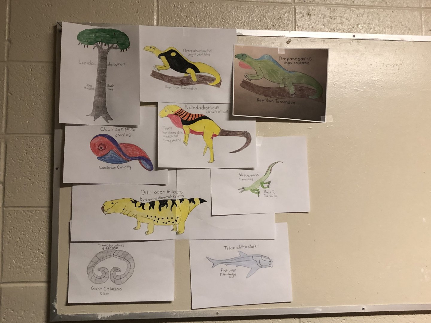 Wall O' Paleoart (thus far)