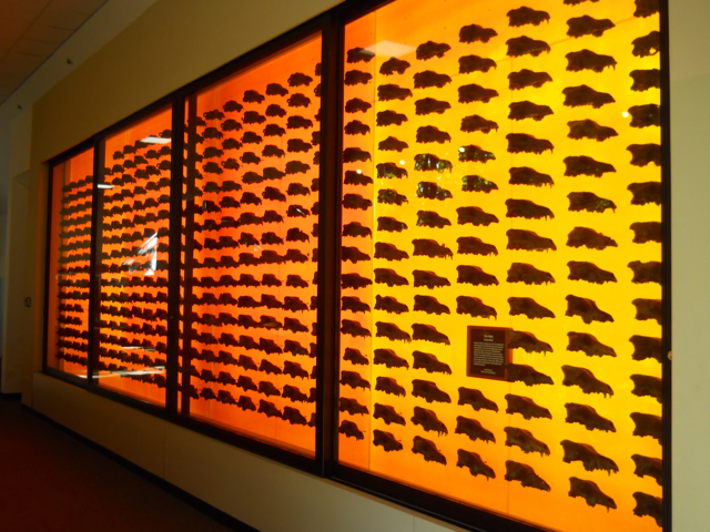 Wall of 400 dire wolf skulls