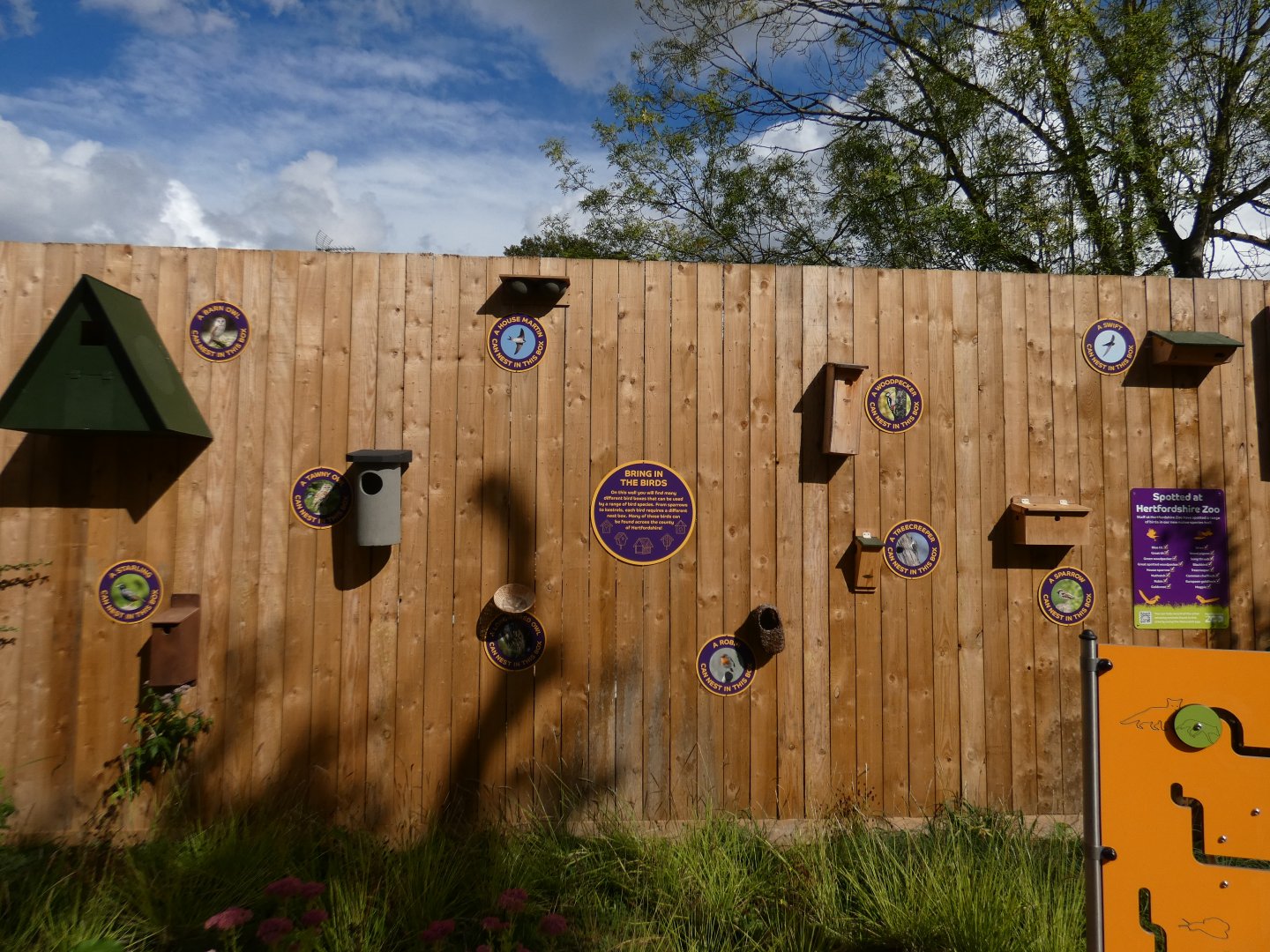 Wall of bird boxes