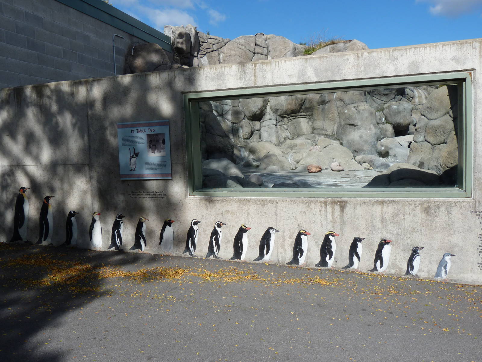 Wall of Different Species of Penguin