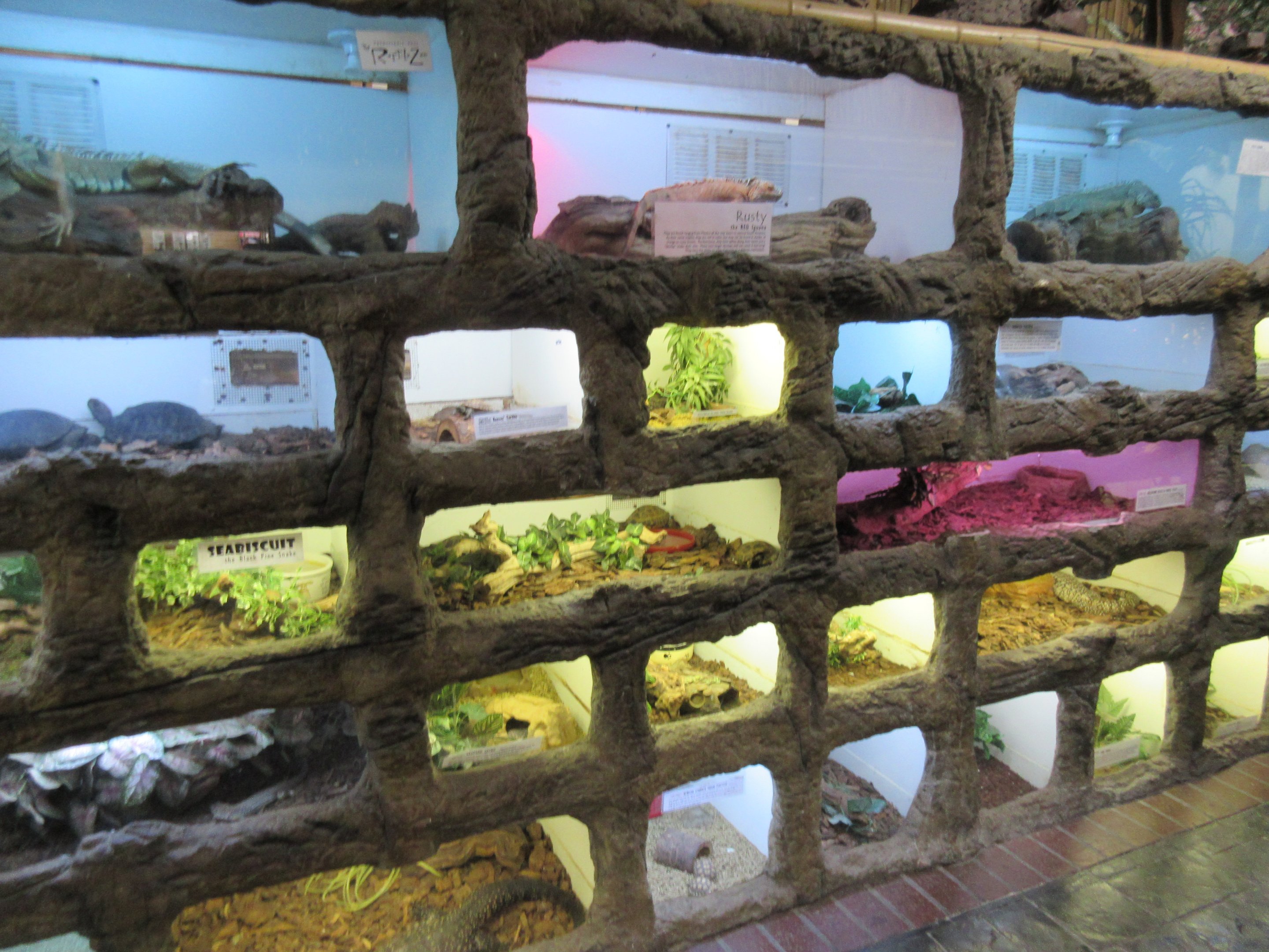 Wall of Terrariums