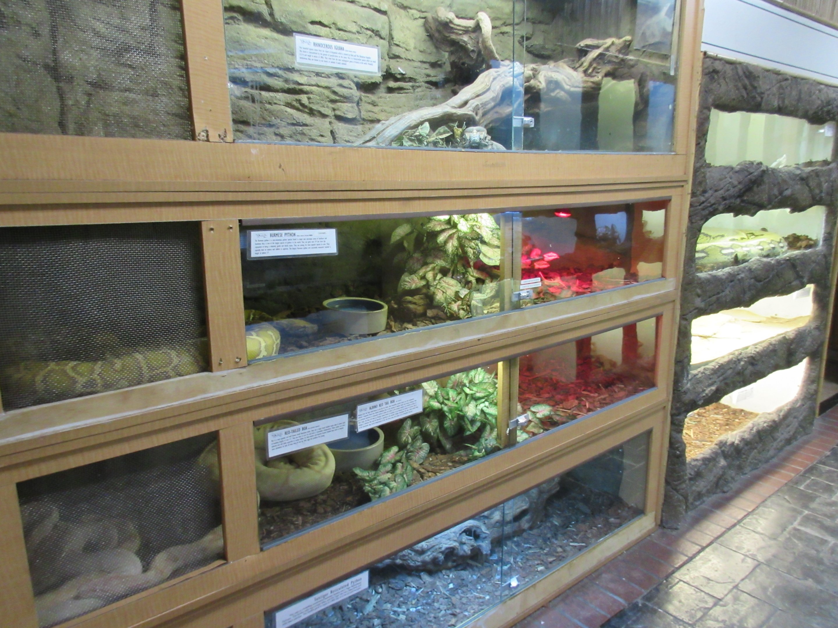 Wall of Terrariums