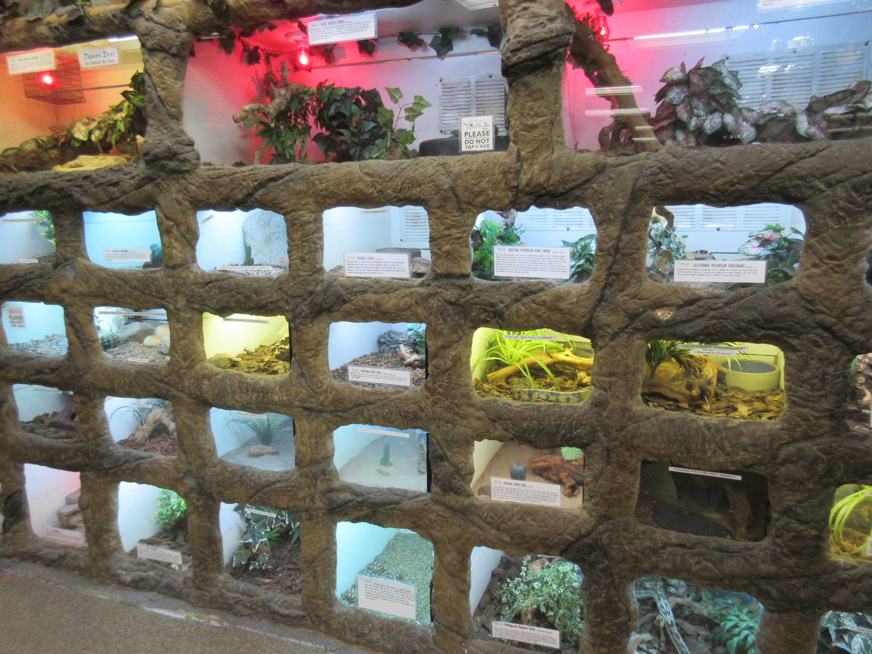 Wall of Terrariums
