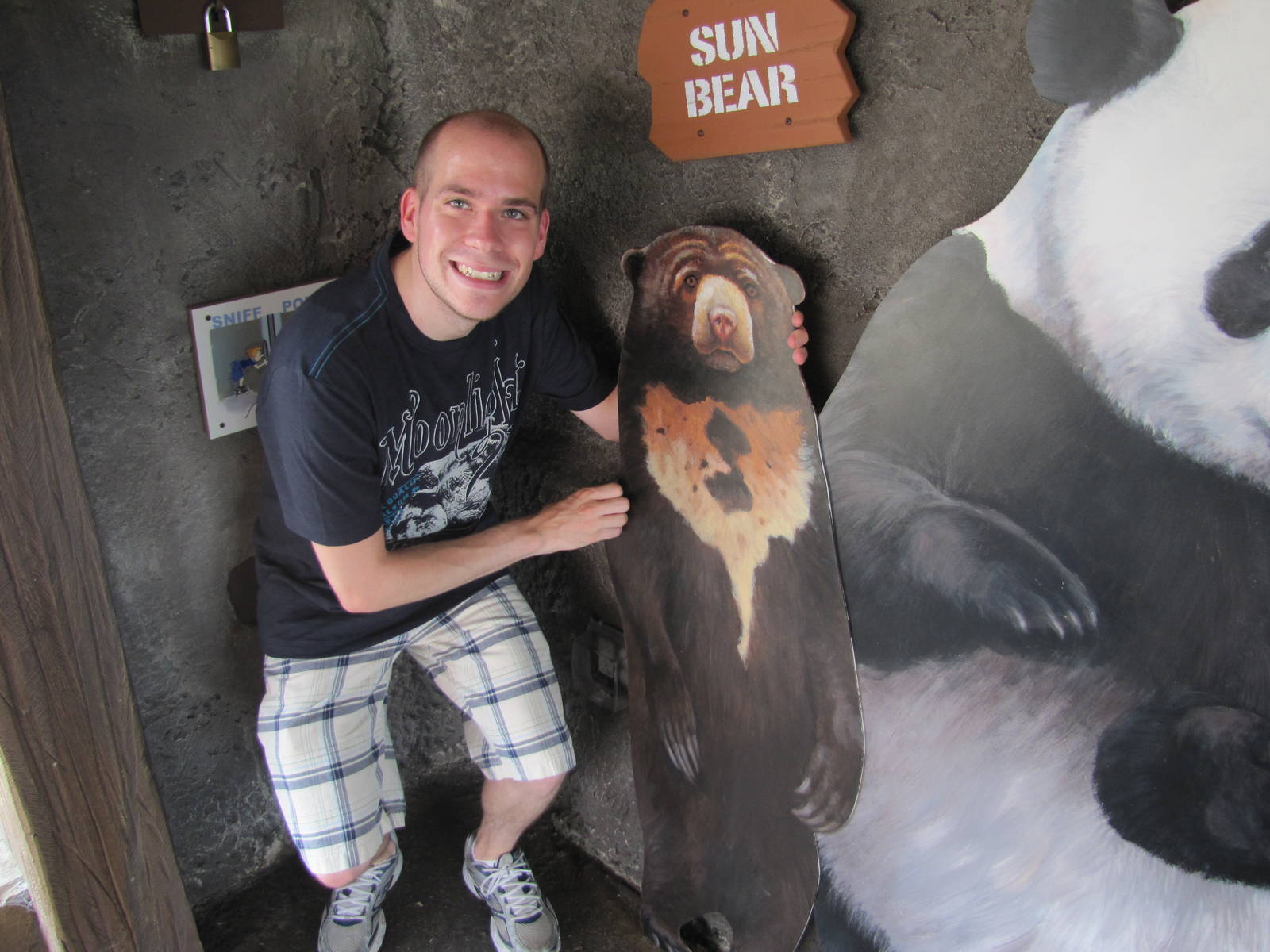 Wall of the Bears of the World