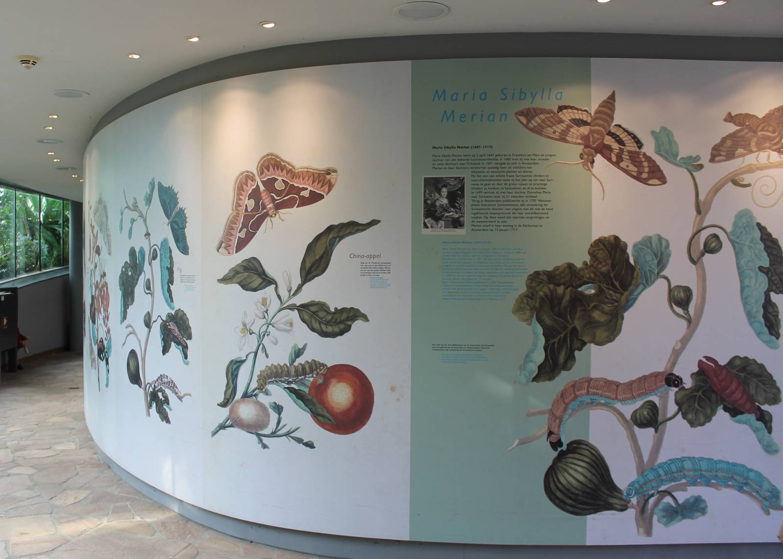 Wall-painting near entrance Butterfly-walk-through