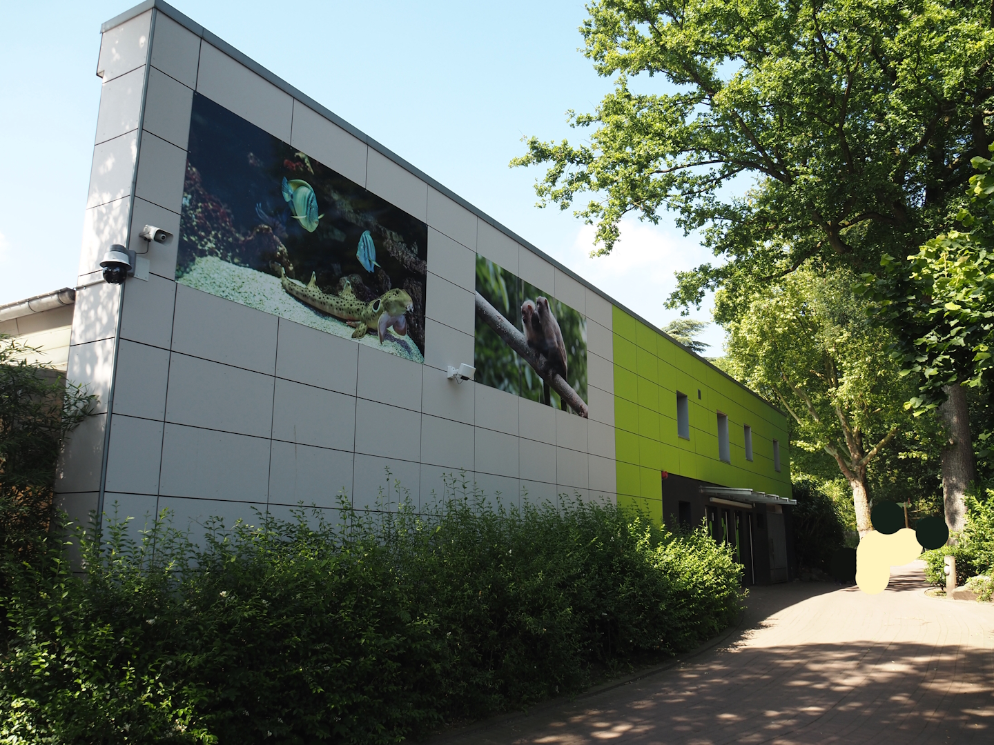 Wall pictures and toilet block at the backside of the aquarium building, 2024-06-08