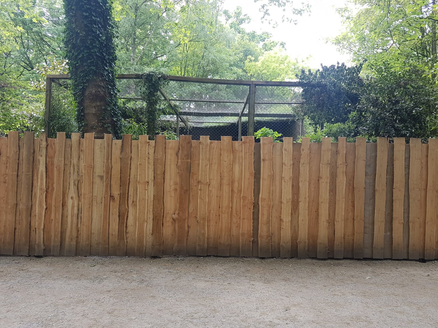 Wall to cover-up aviary (re)construction