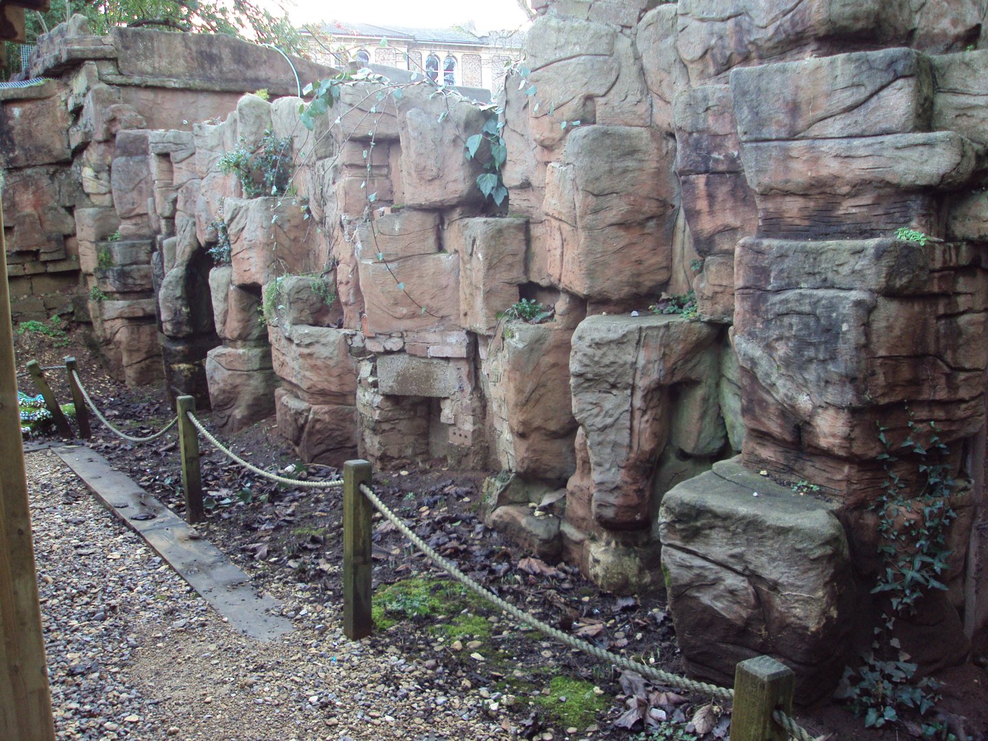 Wall to the old penguin enclosure 03/01/2020