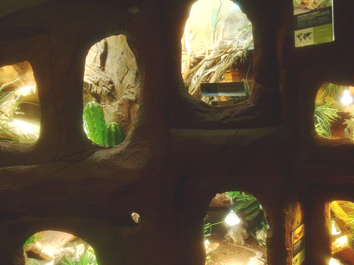 Wall with arid terrariums, 2017-02-06