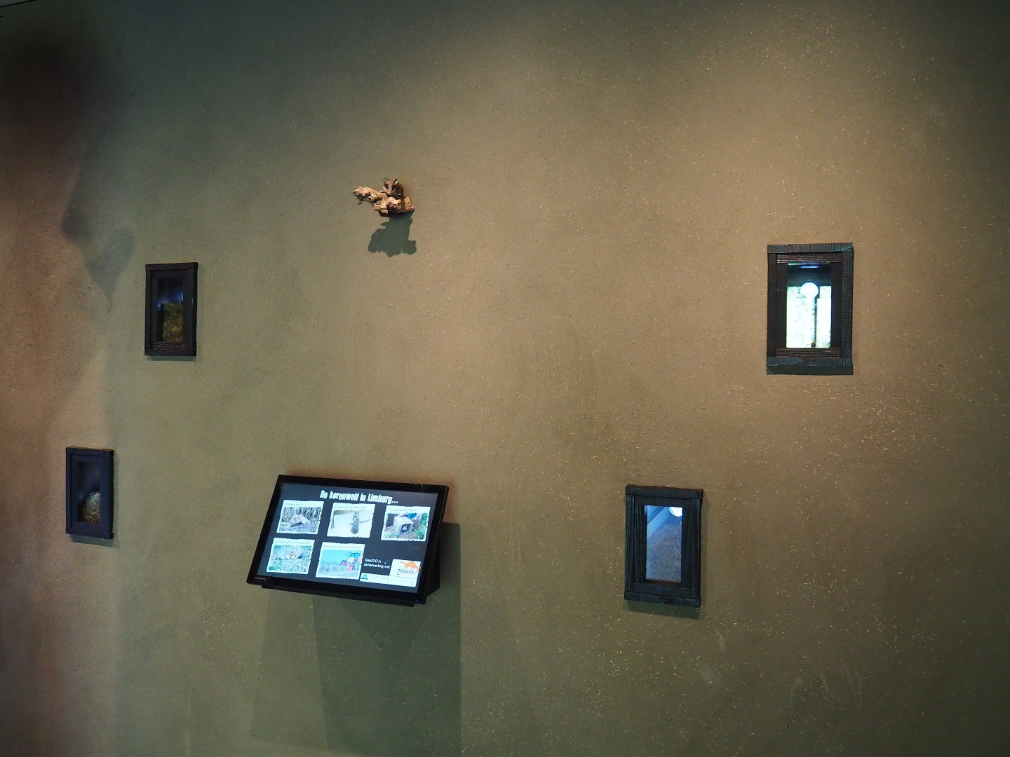 Wall with European garden dormouse nesting boxes (Oct 13th, 2018)