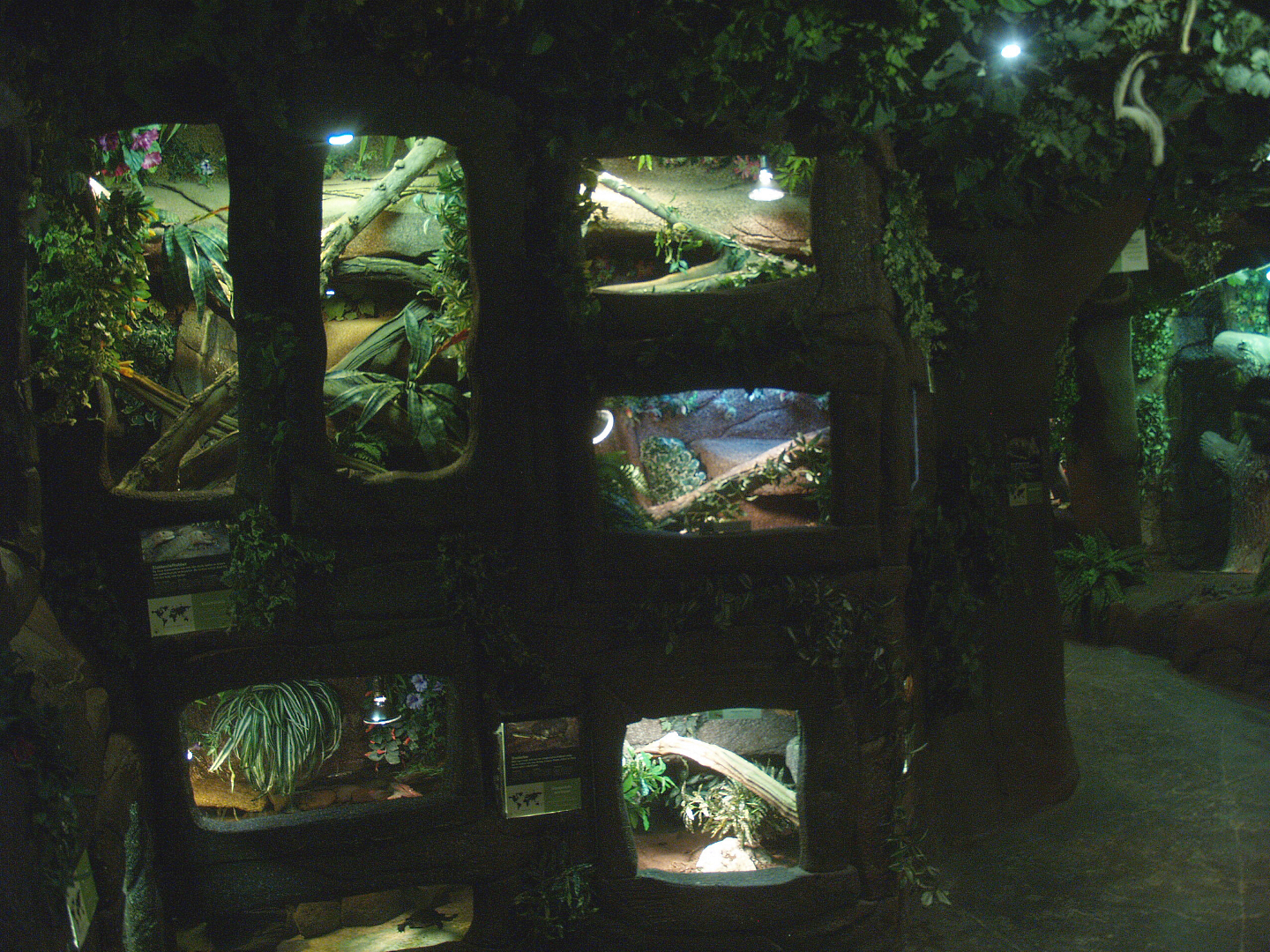 Wall with terrariums, 2014-02-16