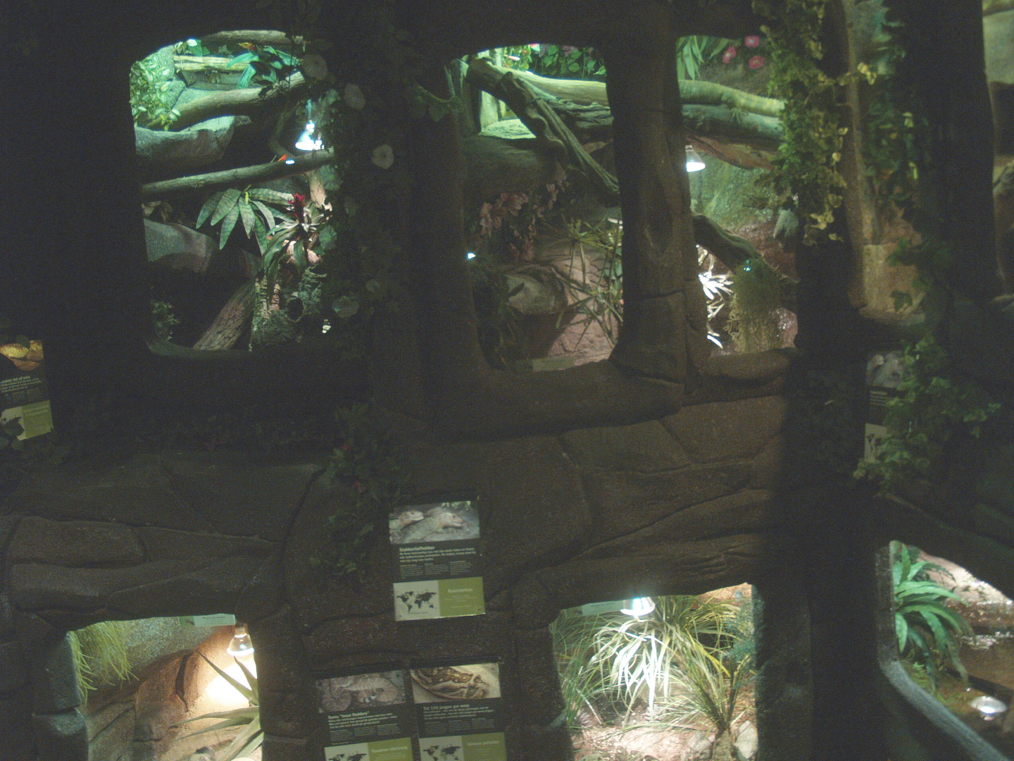 Wall with terrariums, 2014-02-16