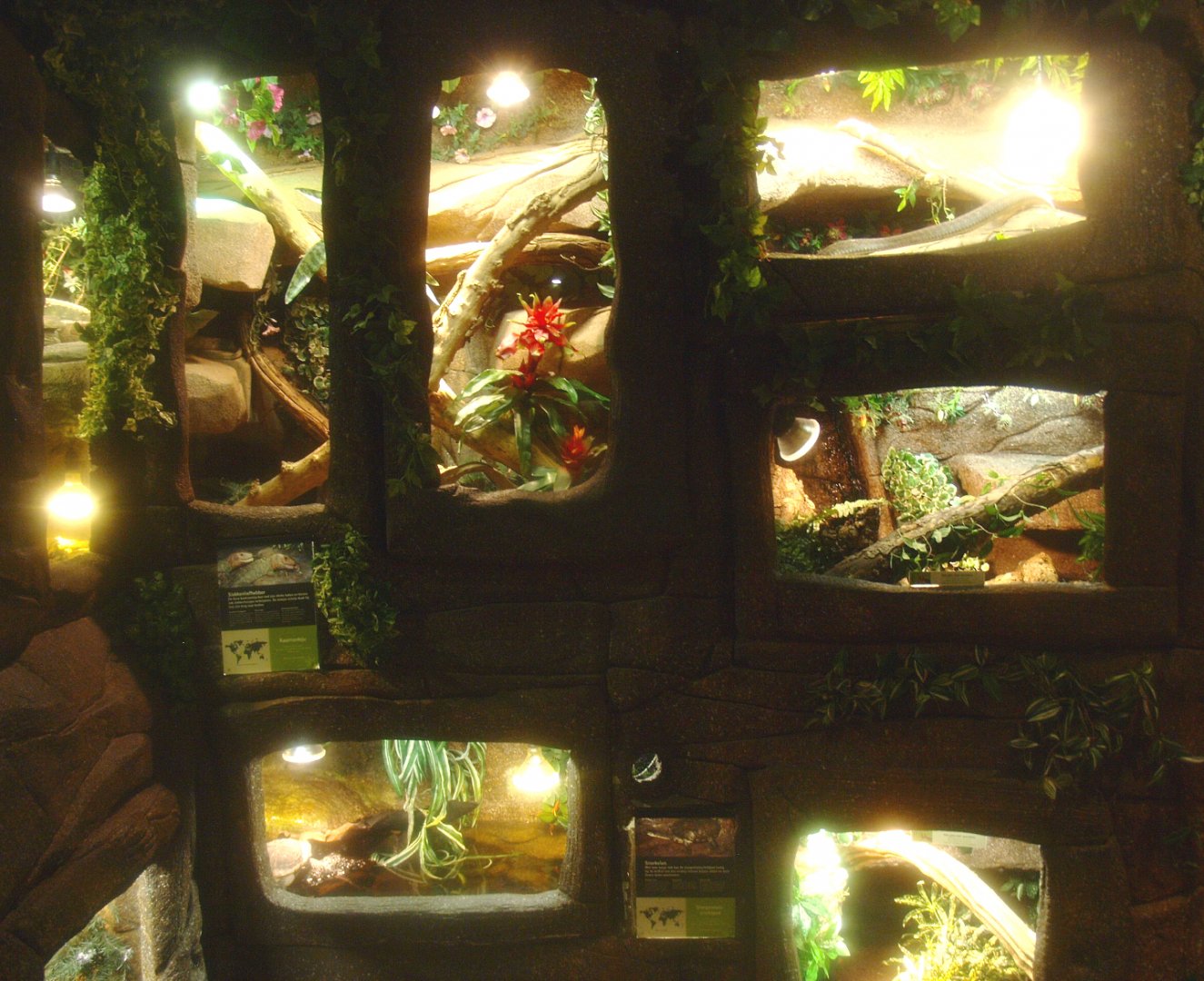 Wall with terrariums, 2017-02-06