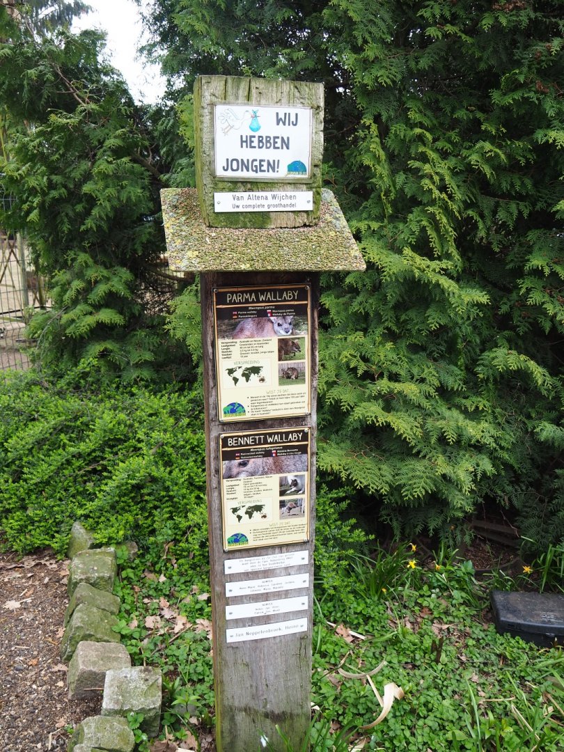 Wallabies signage, 2019-04-06