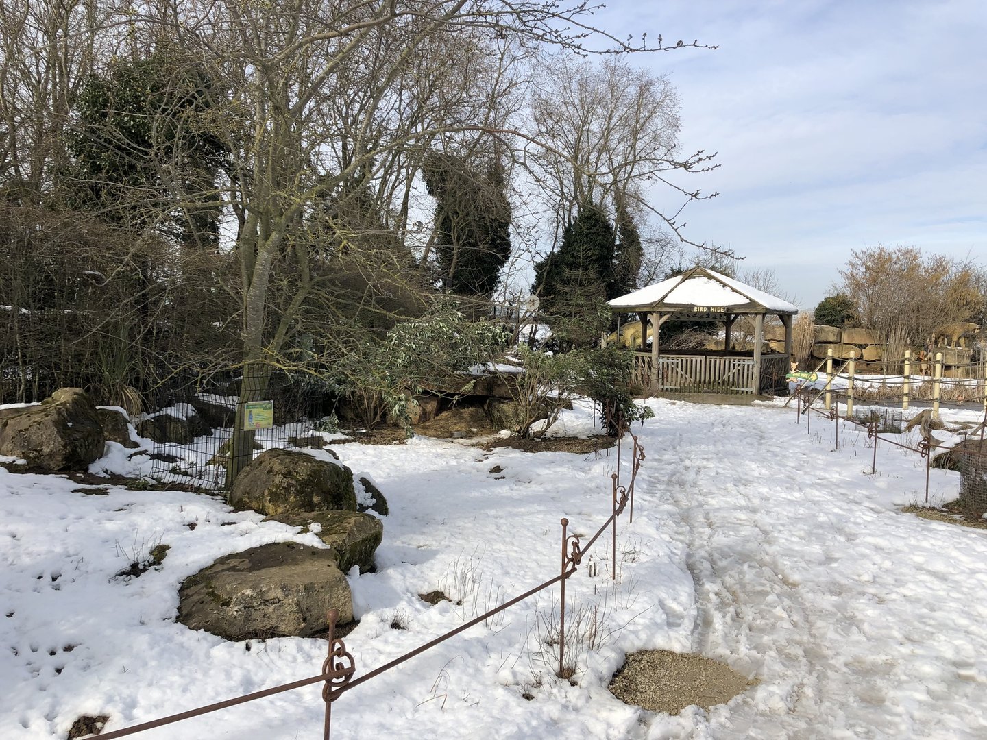 Wallaby/Agouti Enclosure in the Snow at Tropical Butterfly House (March 2023)