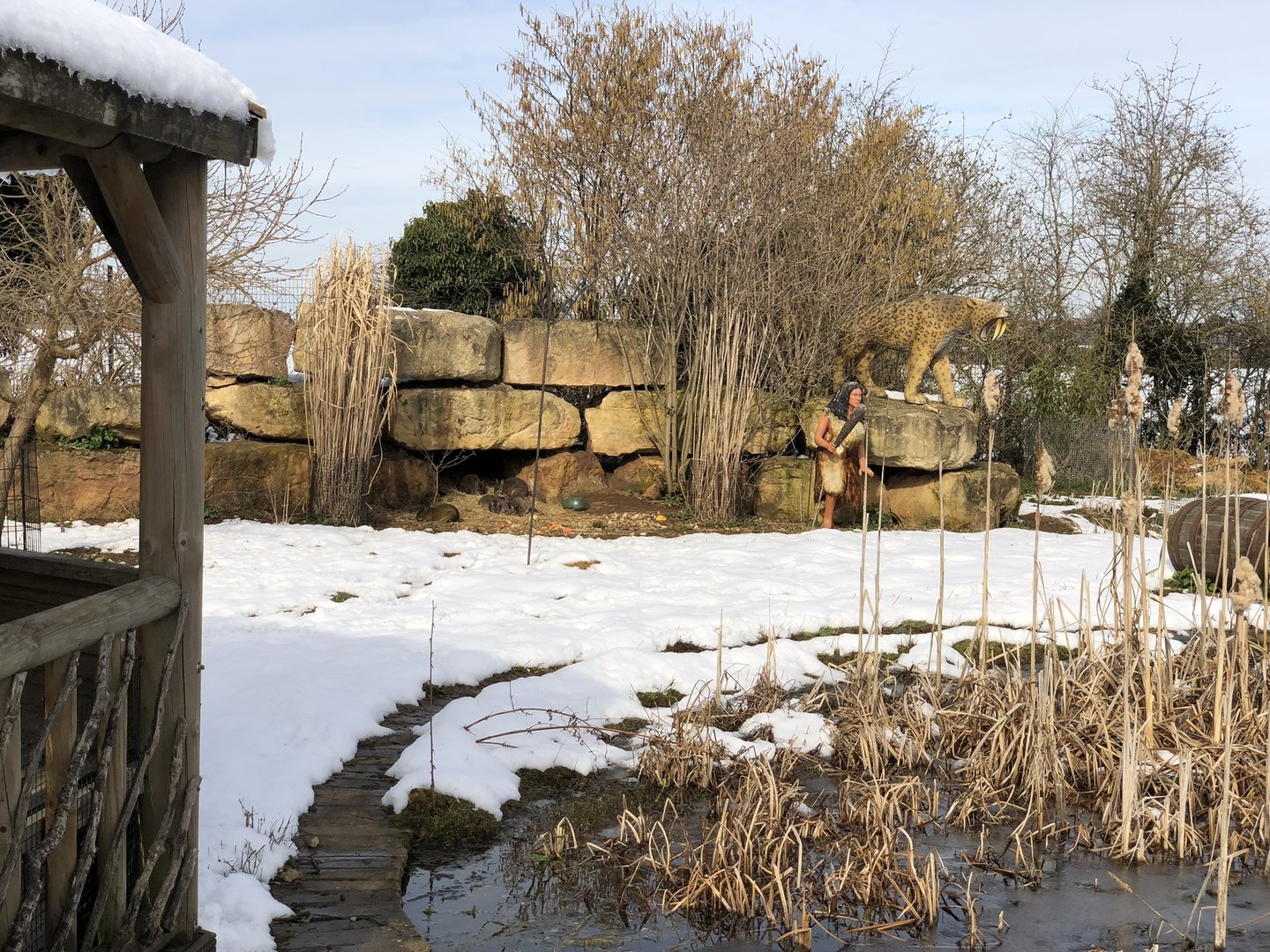 Wallaby/Agouti Enclosure in the Snow at Tropical Butterfly House (March 2023)