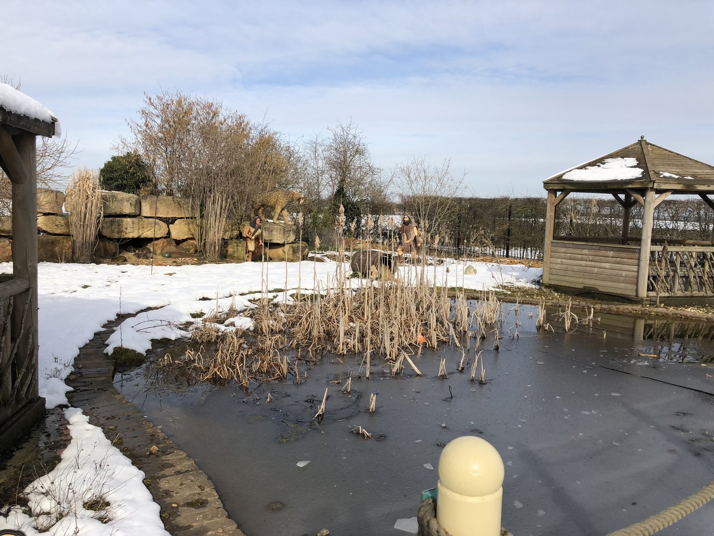 Wallaby/Agouti Enclosure in the Snow at Tropical Butterfly House (March 2023)