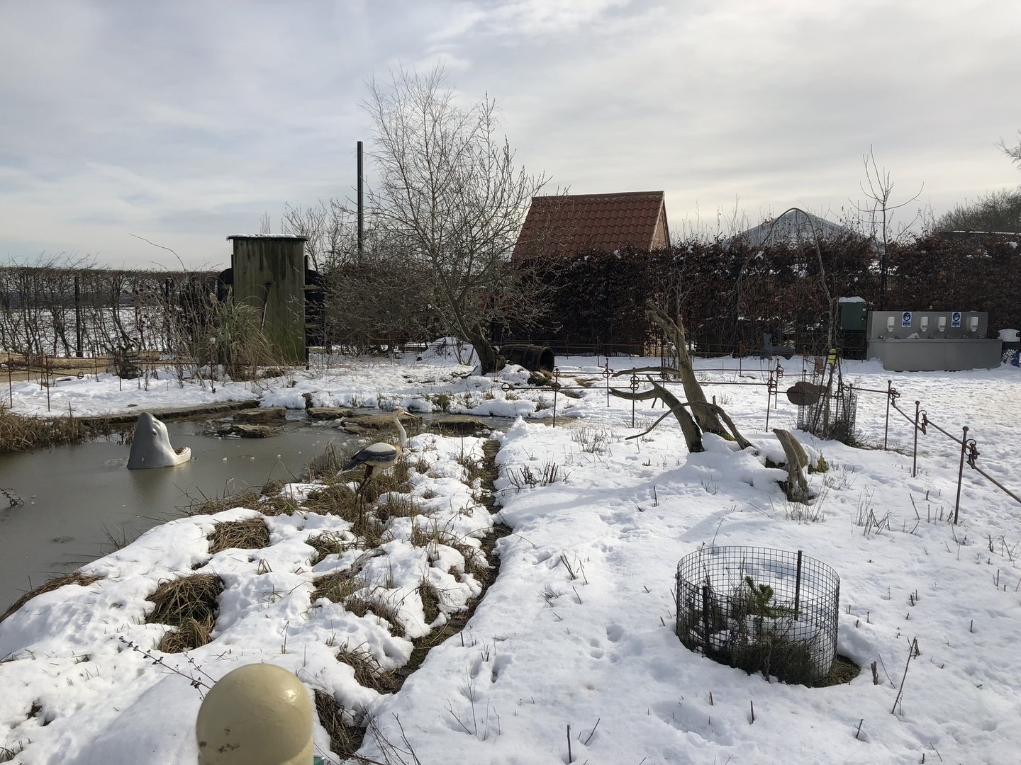 Wallaby/Agouti Enclosure in the Snow at Tropical Butterfly House (March 2023)