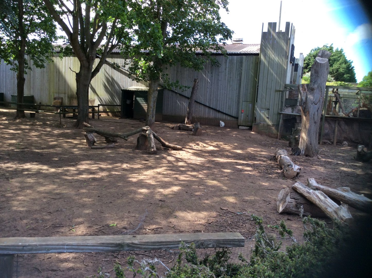 Wallaby and emu enclosure 270517