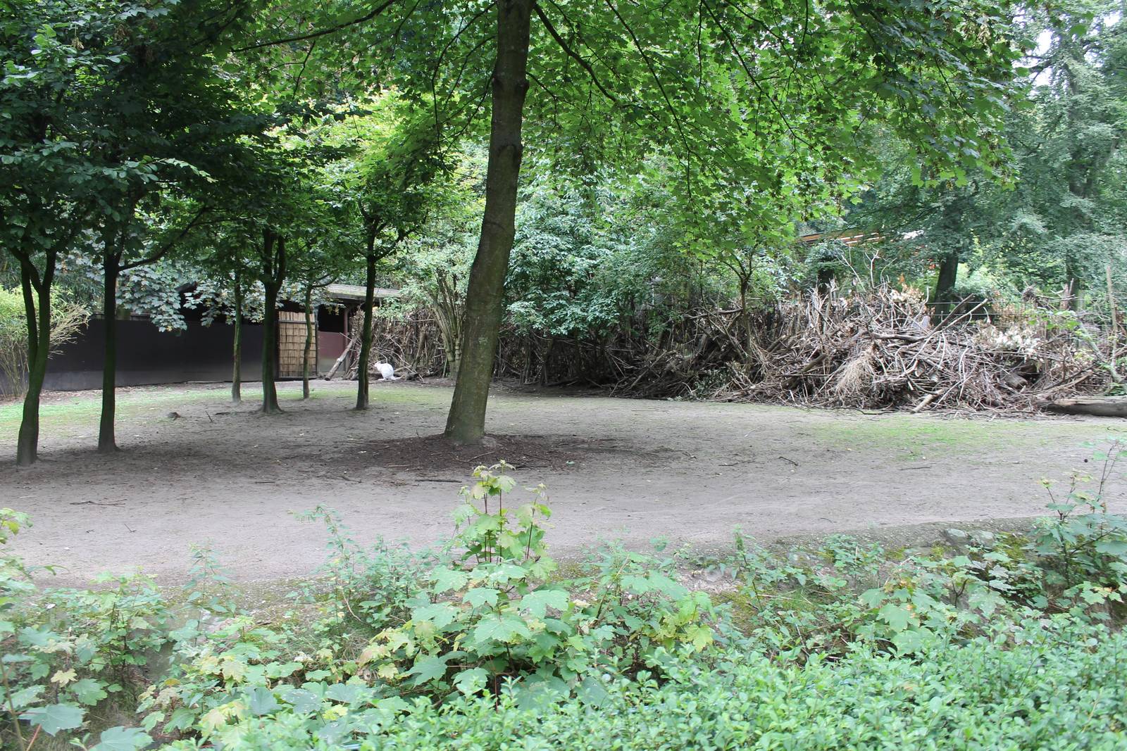 Wallaby and Emu enclosure