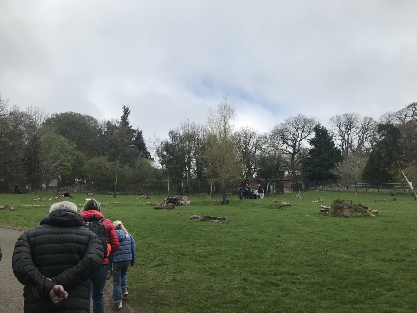 Wallaby and kangaroo enclosure (3)